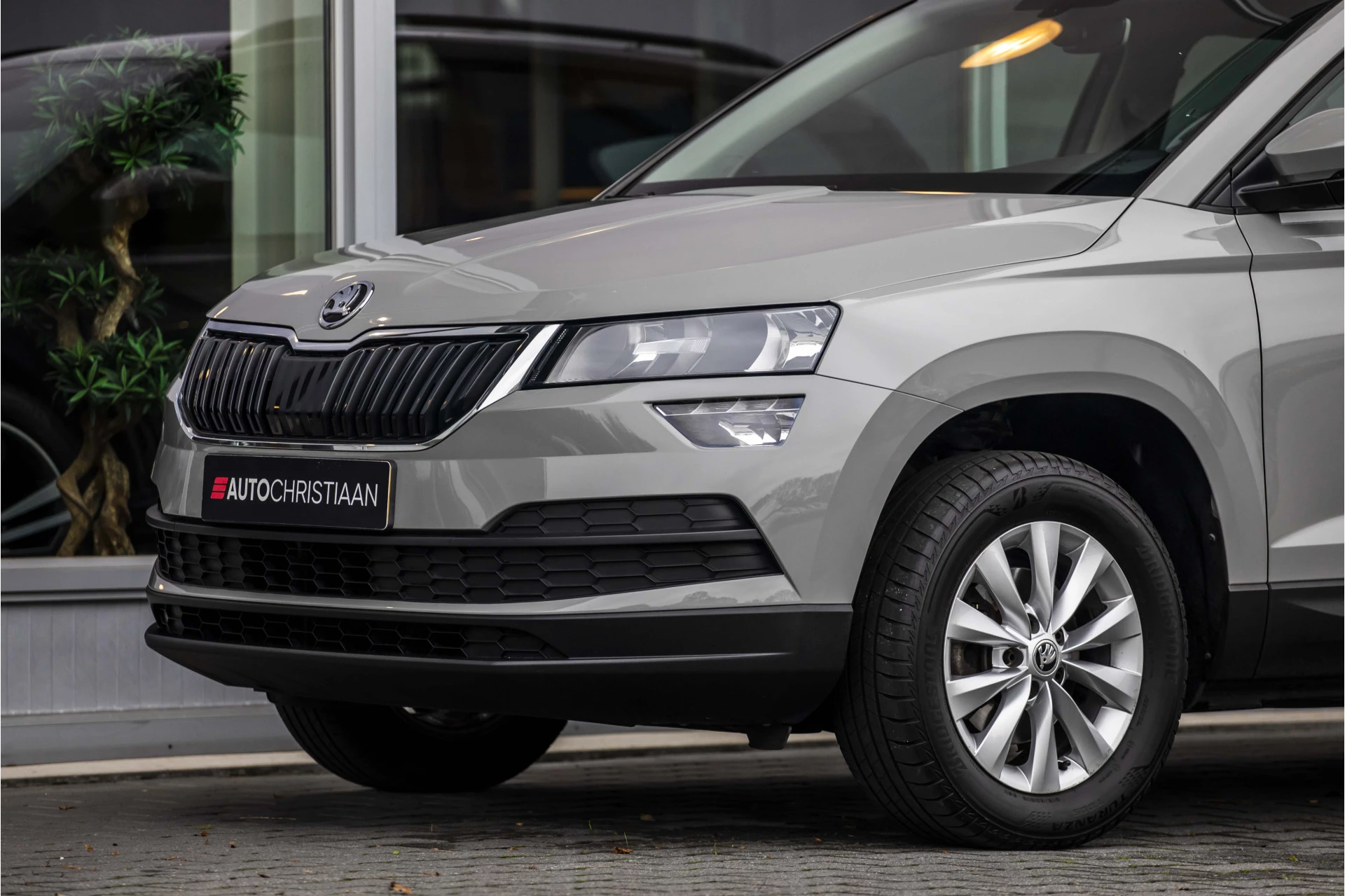 Hoofdafbeelding Škoda Karoq