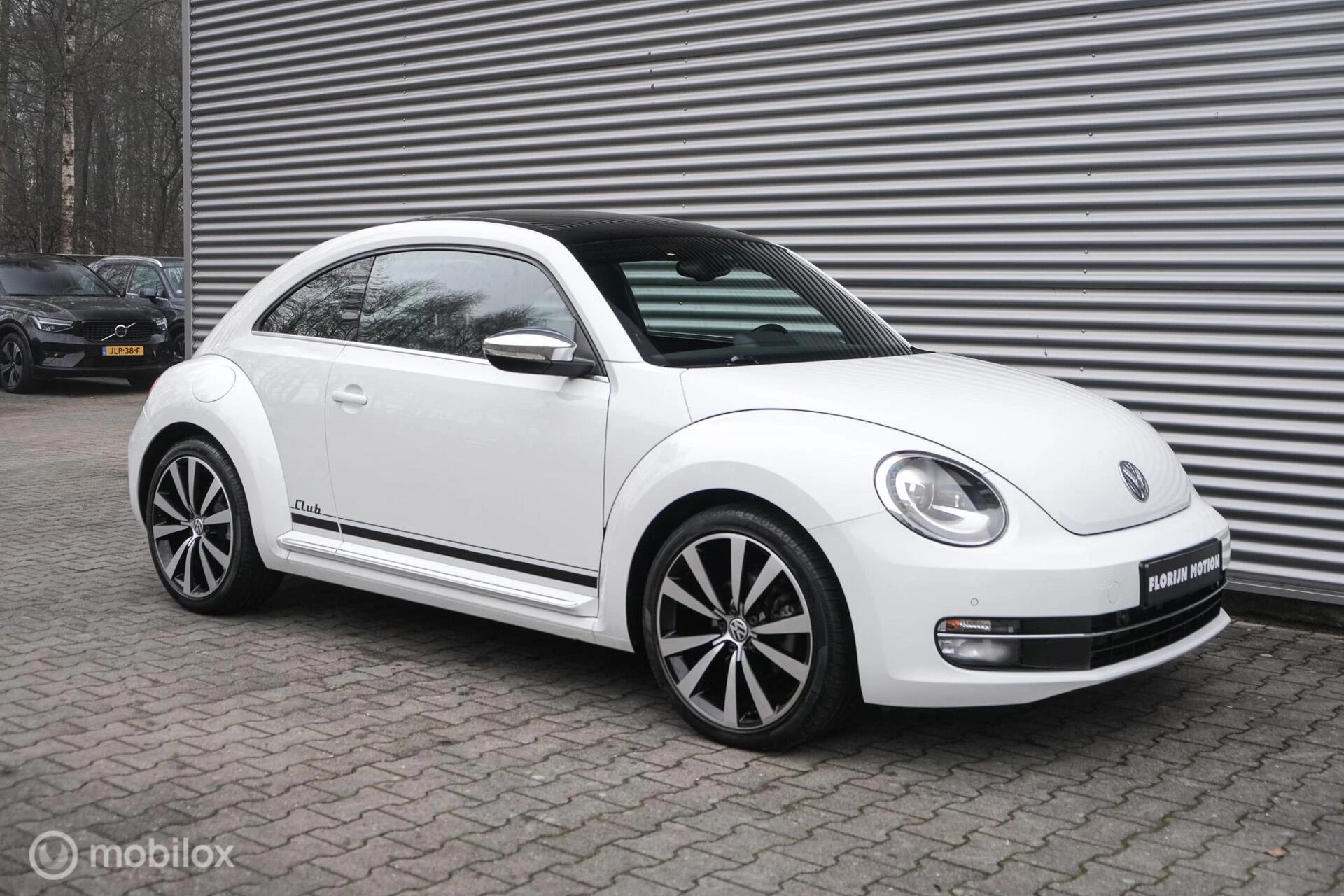 Hoofdafbeelding Volkswagen Beetle