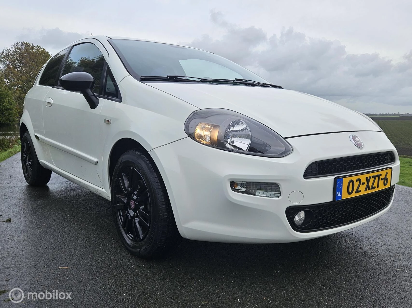 Hoofdafbeelding Fiat Punto