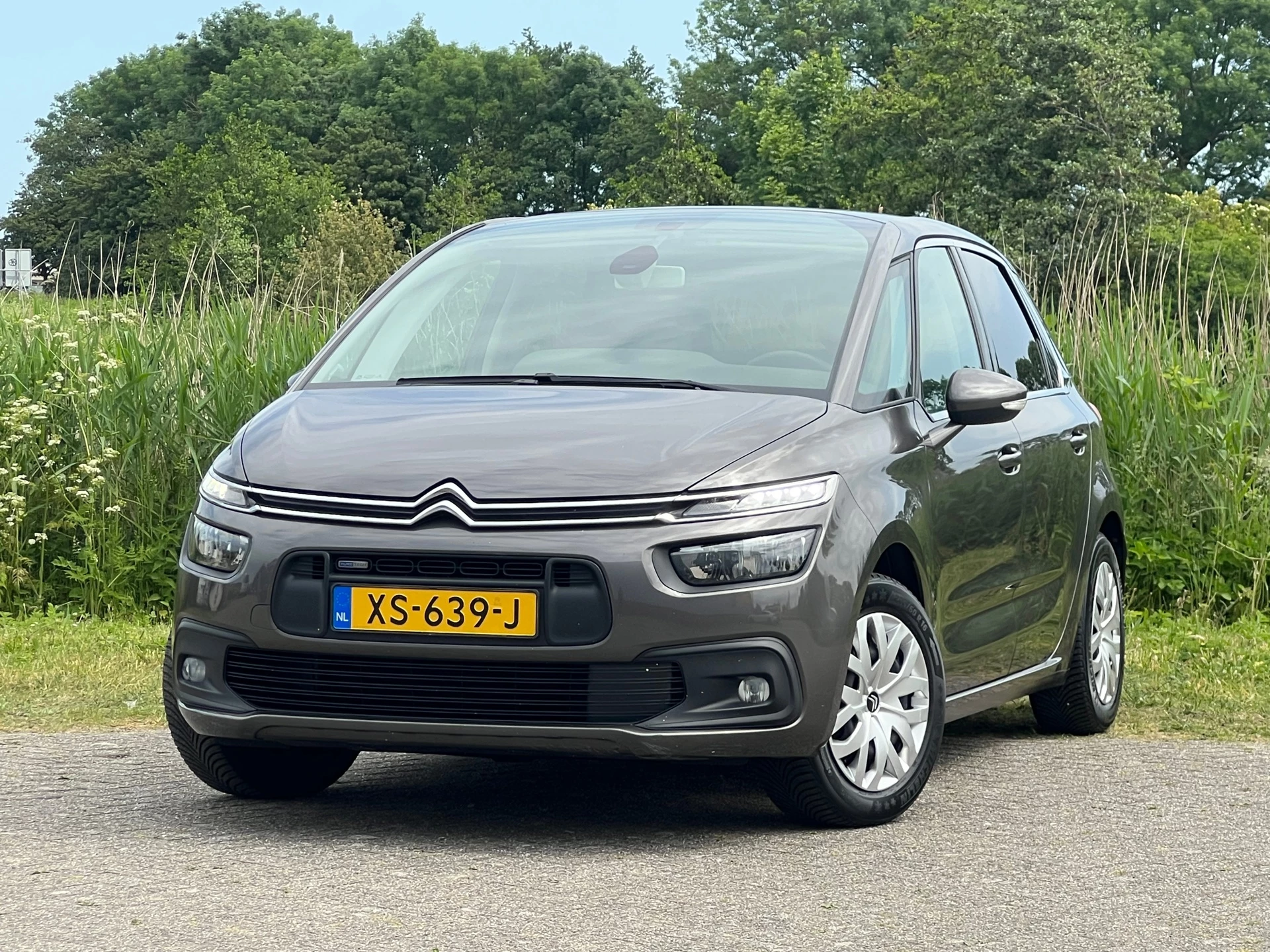 Hoofdafbeelding Citroën C4 Picasso