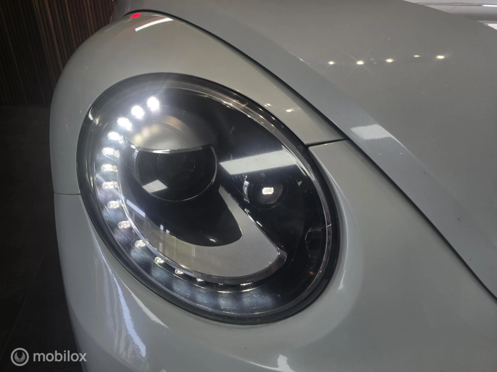 Hoofdafbeelding Volkswagen Beetle