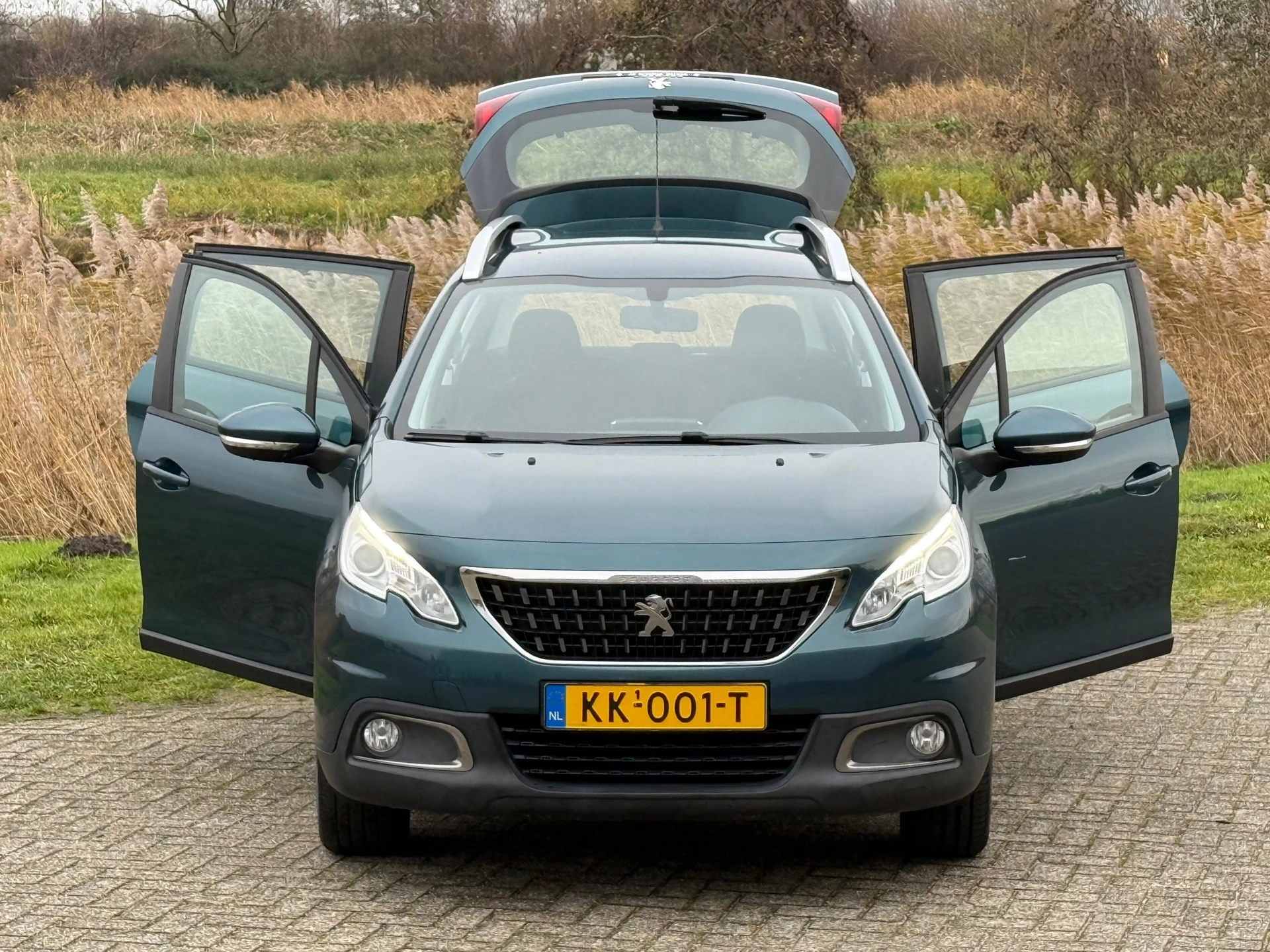 Hoofdafbeelding Peugeot 2008