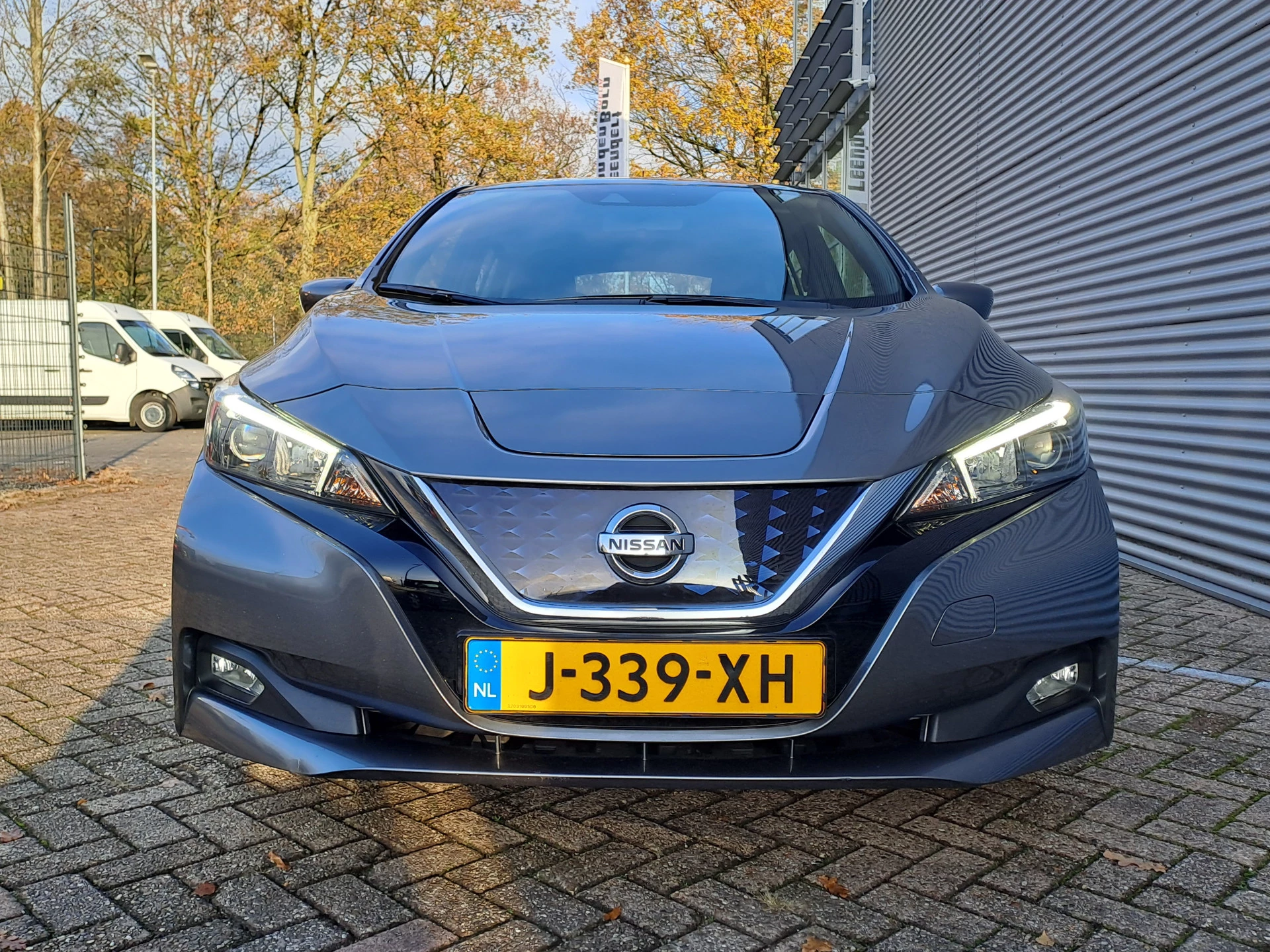 Hoofdafbeelding Nissan Leaf
