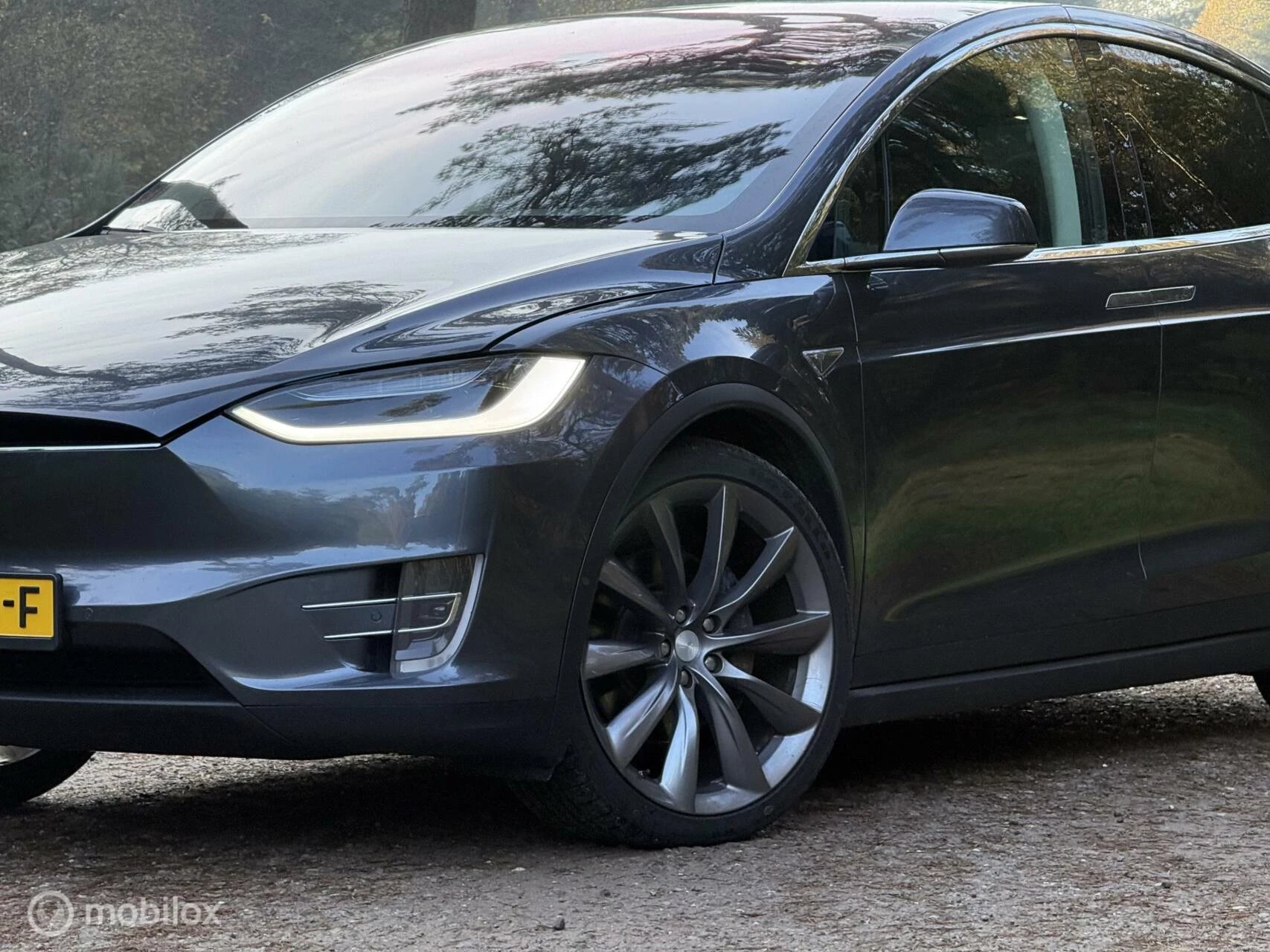 Hoofdafbeelding Tesla Model X