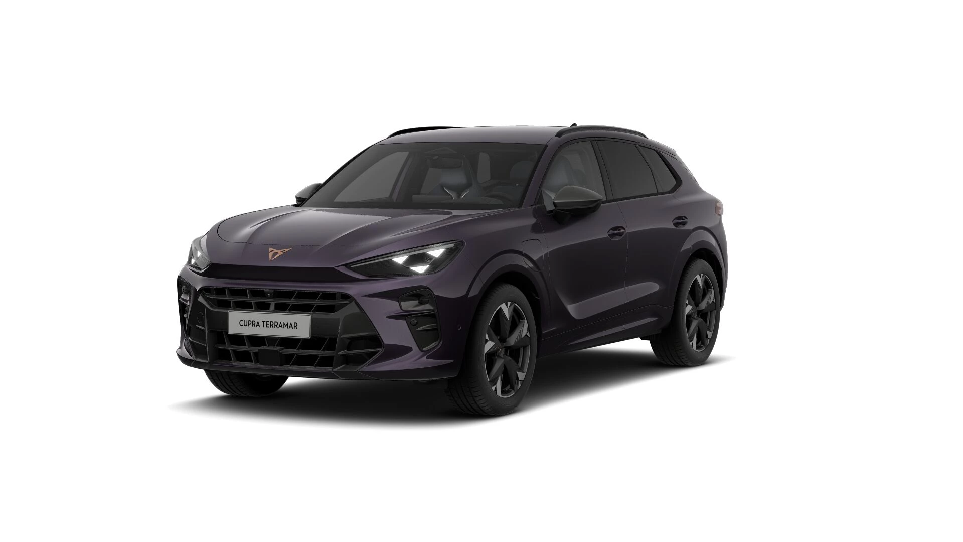 Hoofdafbeelding CUPRA Terramar