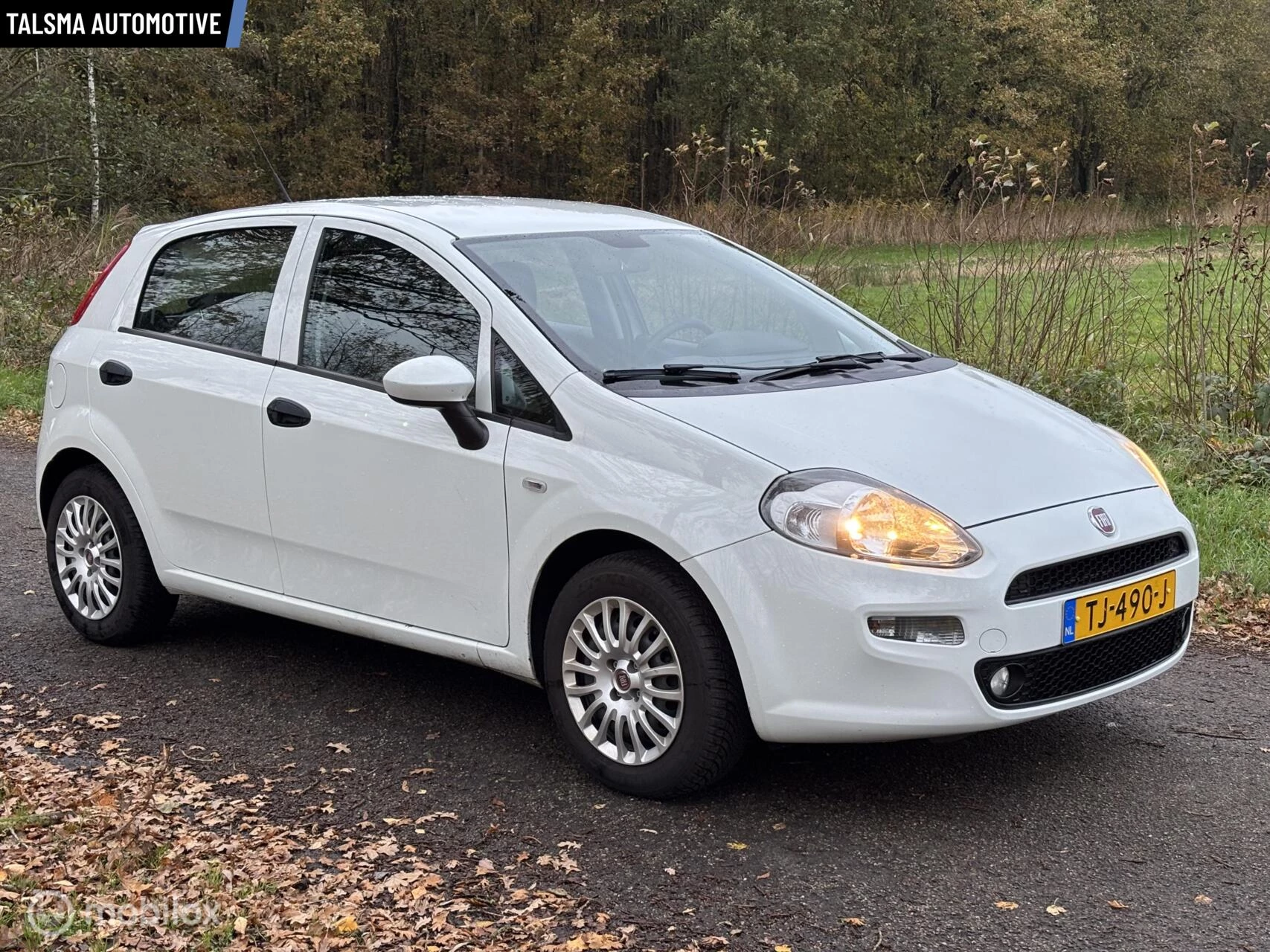 Hoofdafbeelding Fiat Punto
