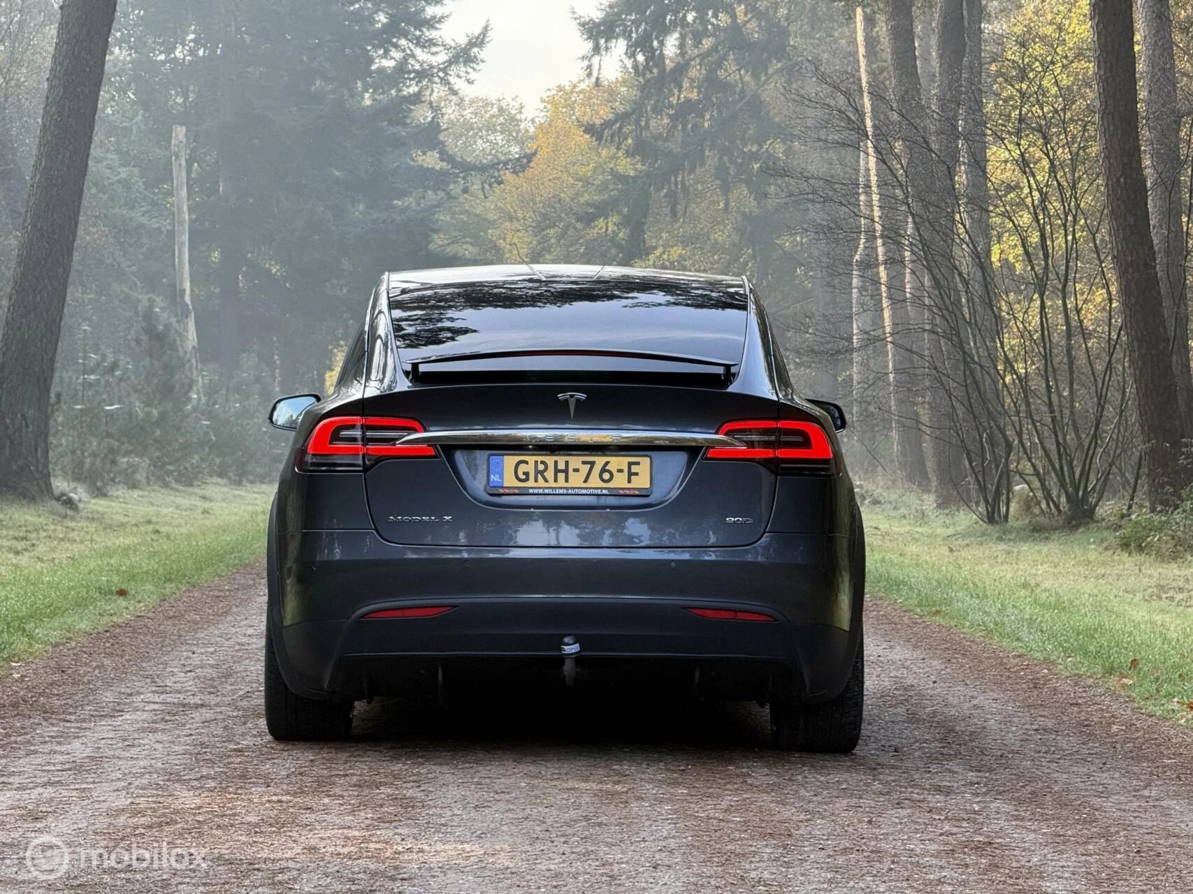 Hoofdafbeelding Tesla Model X