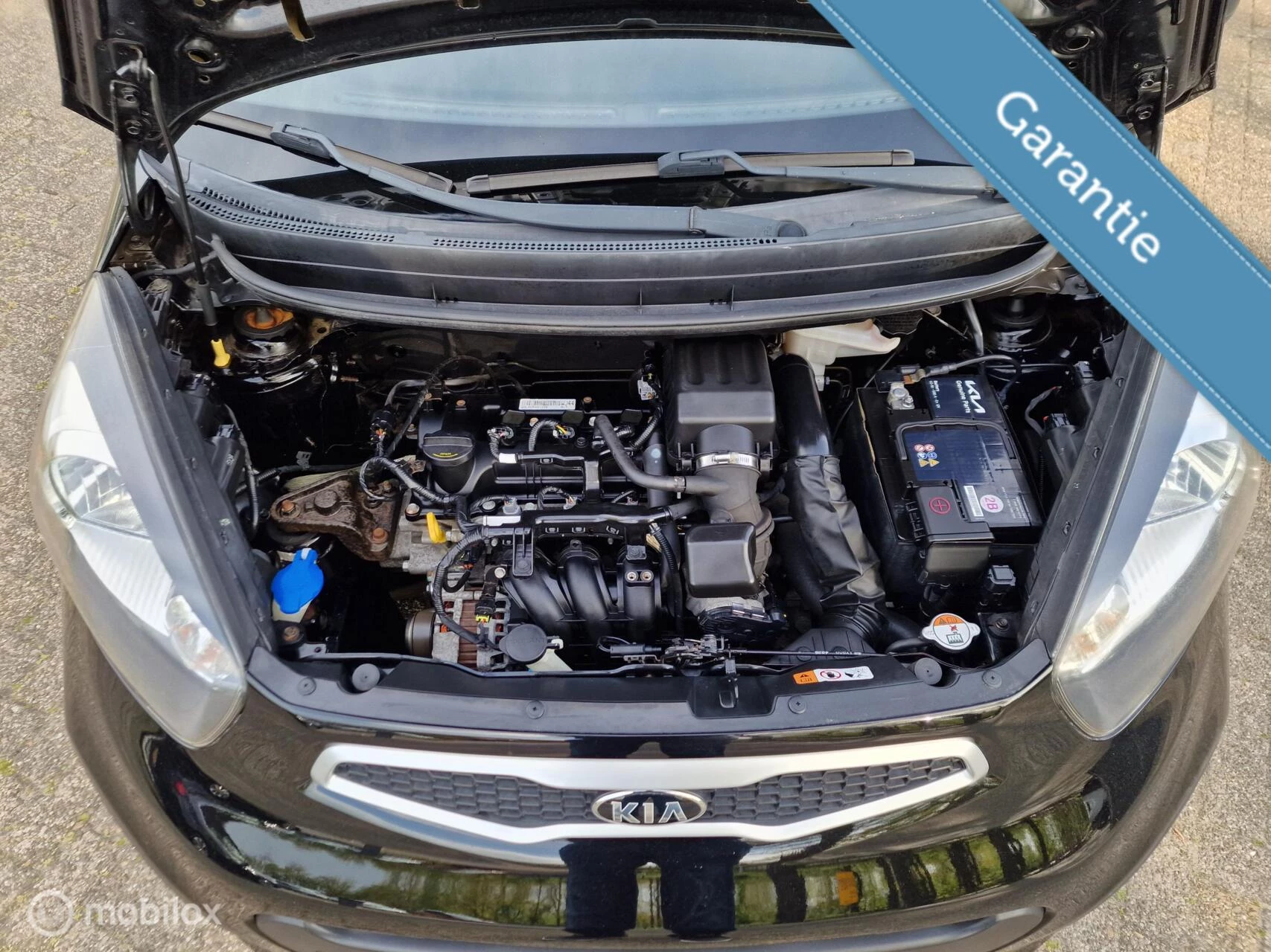 Hoofdafbeelding Kia Picanto