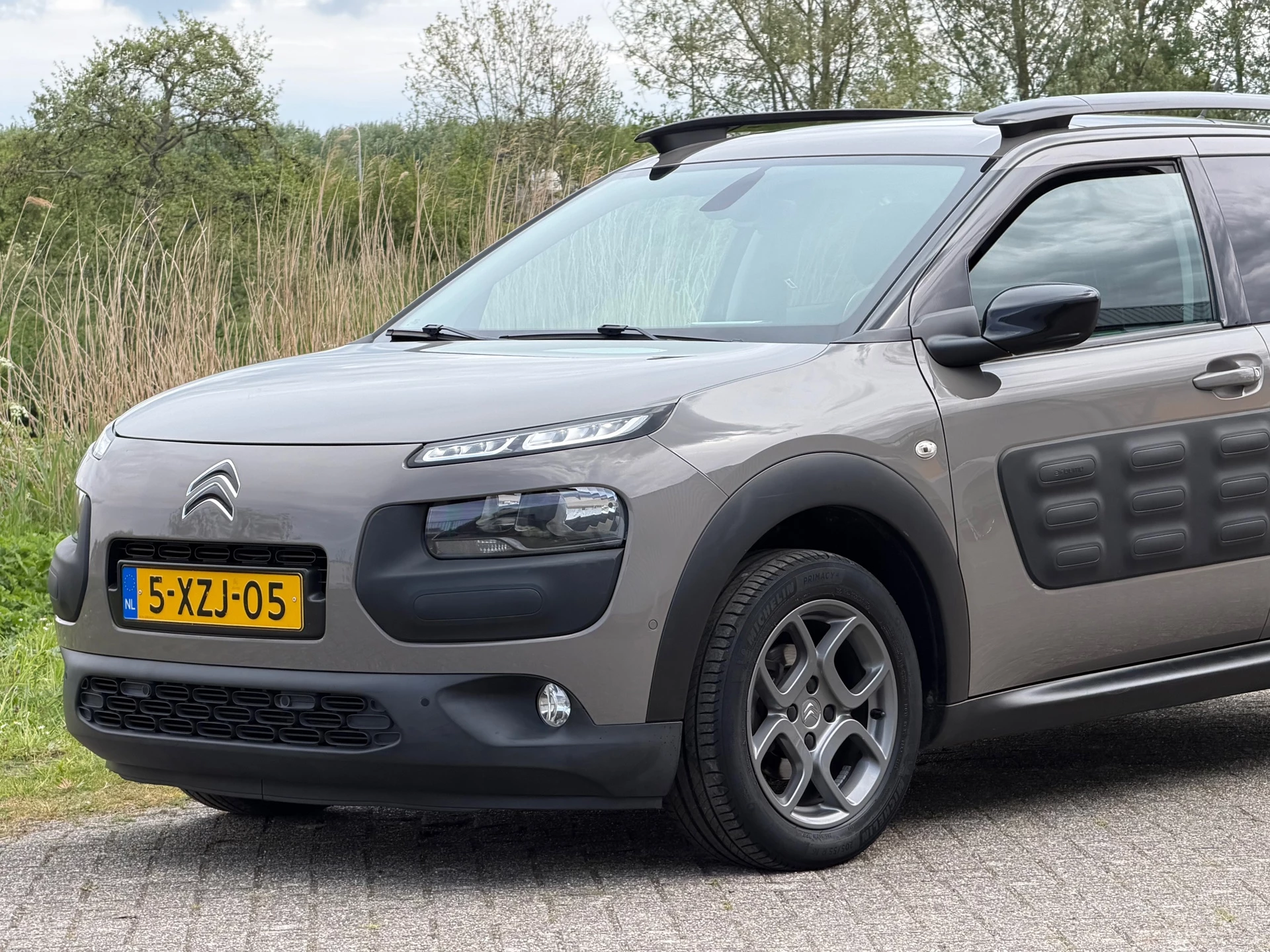 Hoofdafbeelding Citroën C4 Cactus