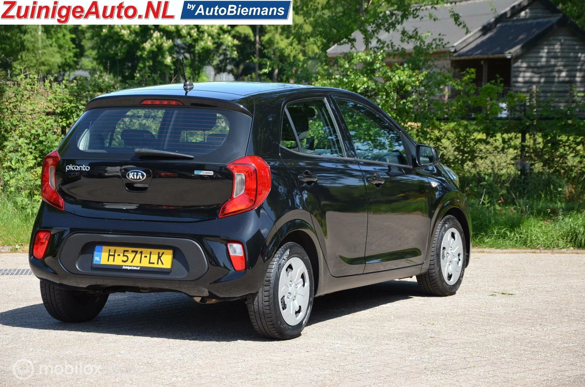 Hoofdafbeelding Kia Picanto