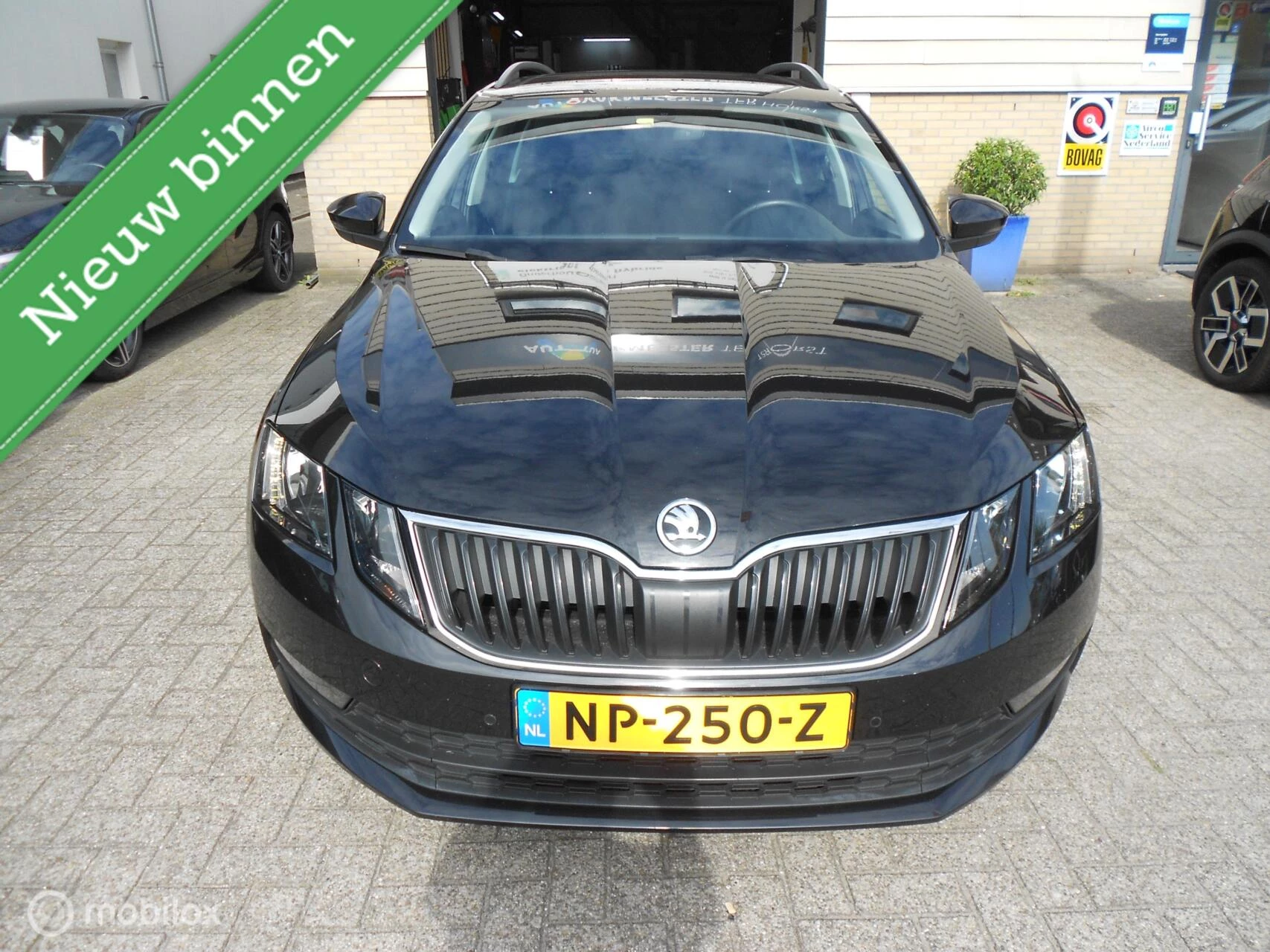 Hoofdafbeelding Škoda Octavia