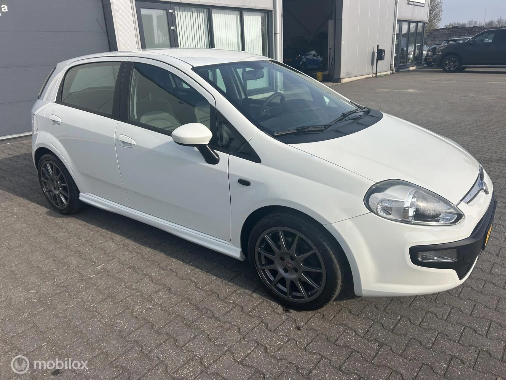 Hoofdafbeelding Fiat Punto