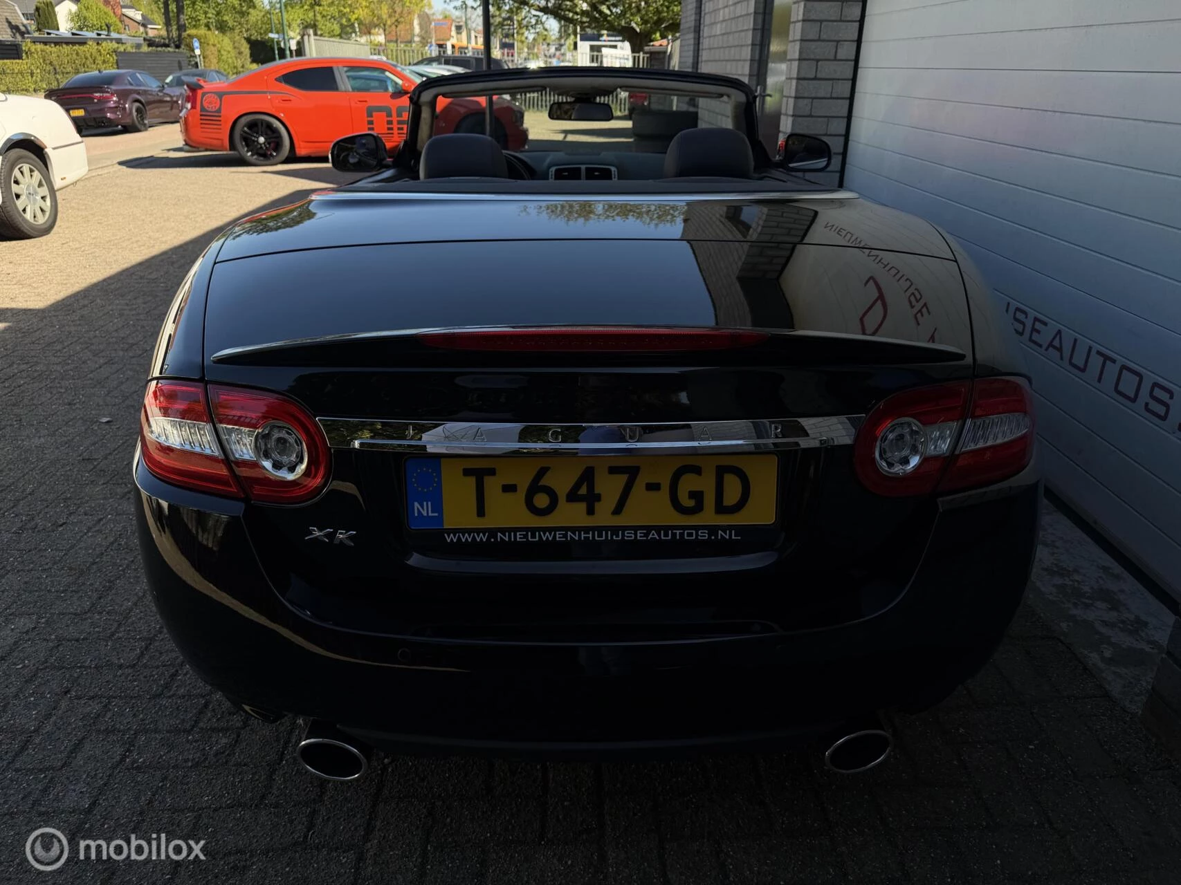 Hoofdafbeelding Jaguar XK