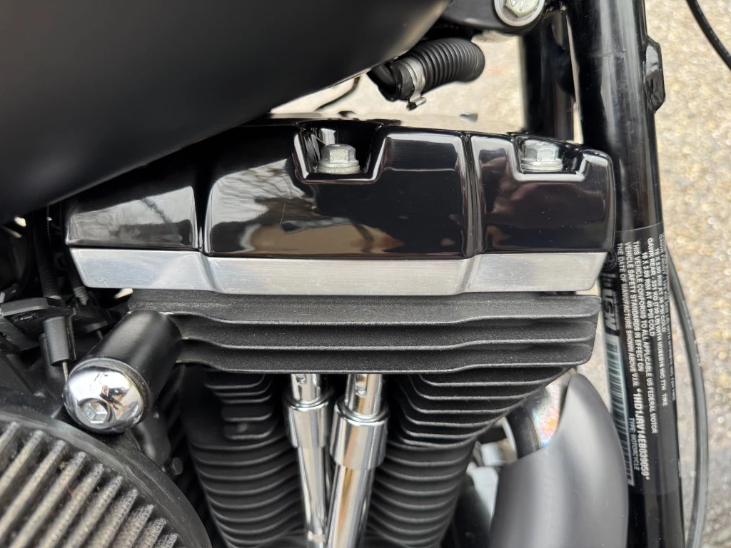 Hoofdafbeelding Harley-Davidson Softail