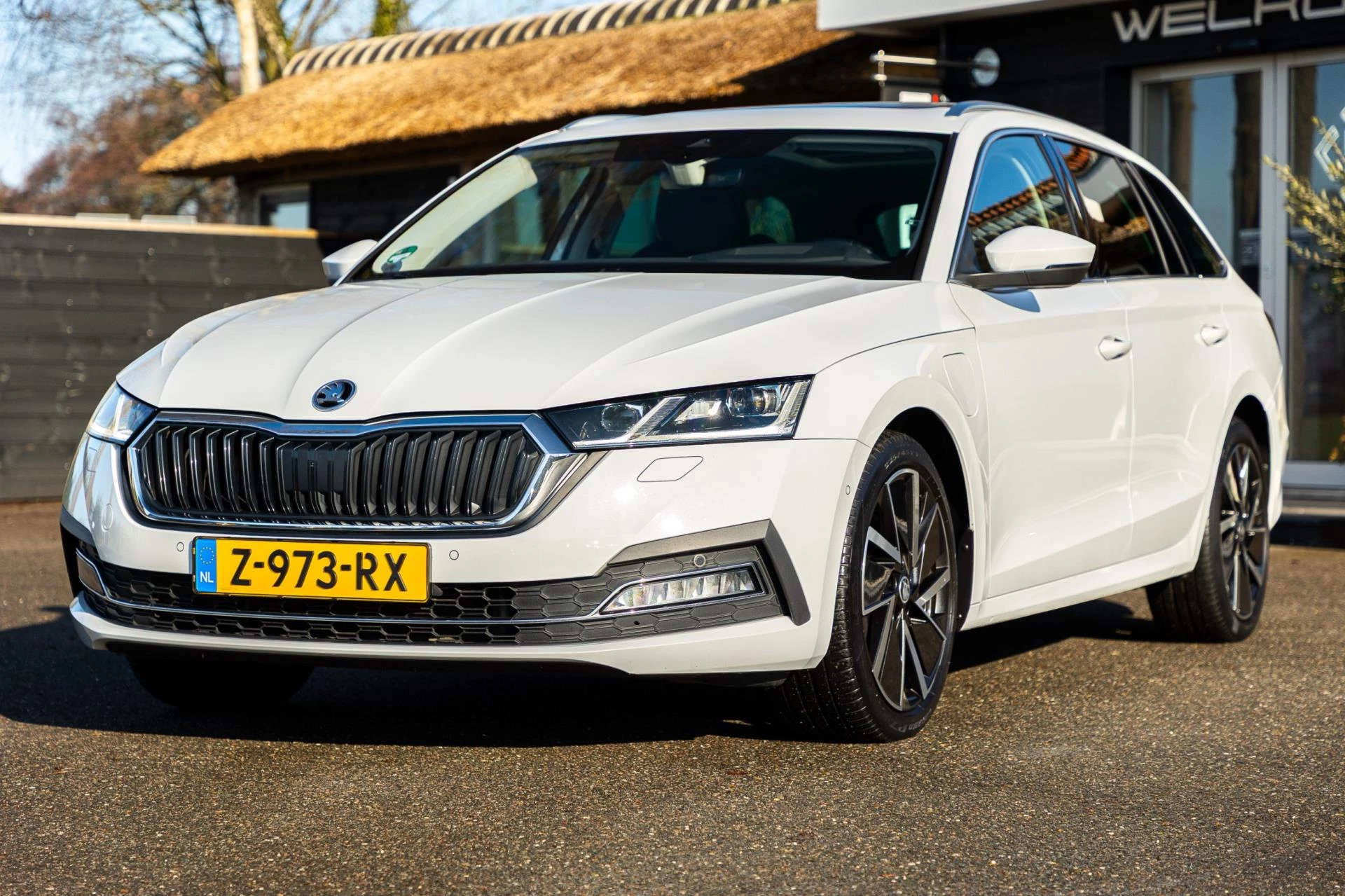 Hoofdafbeelding Škoda Octavia