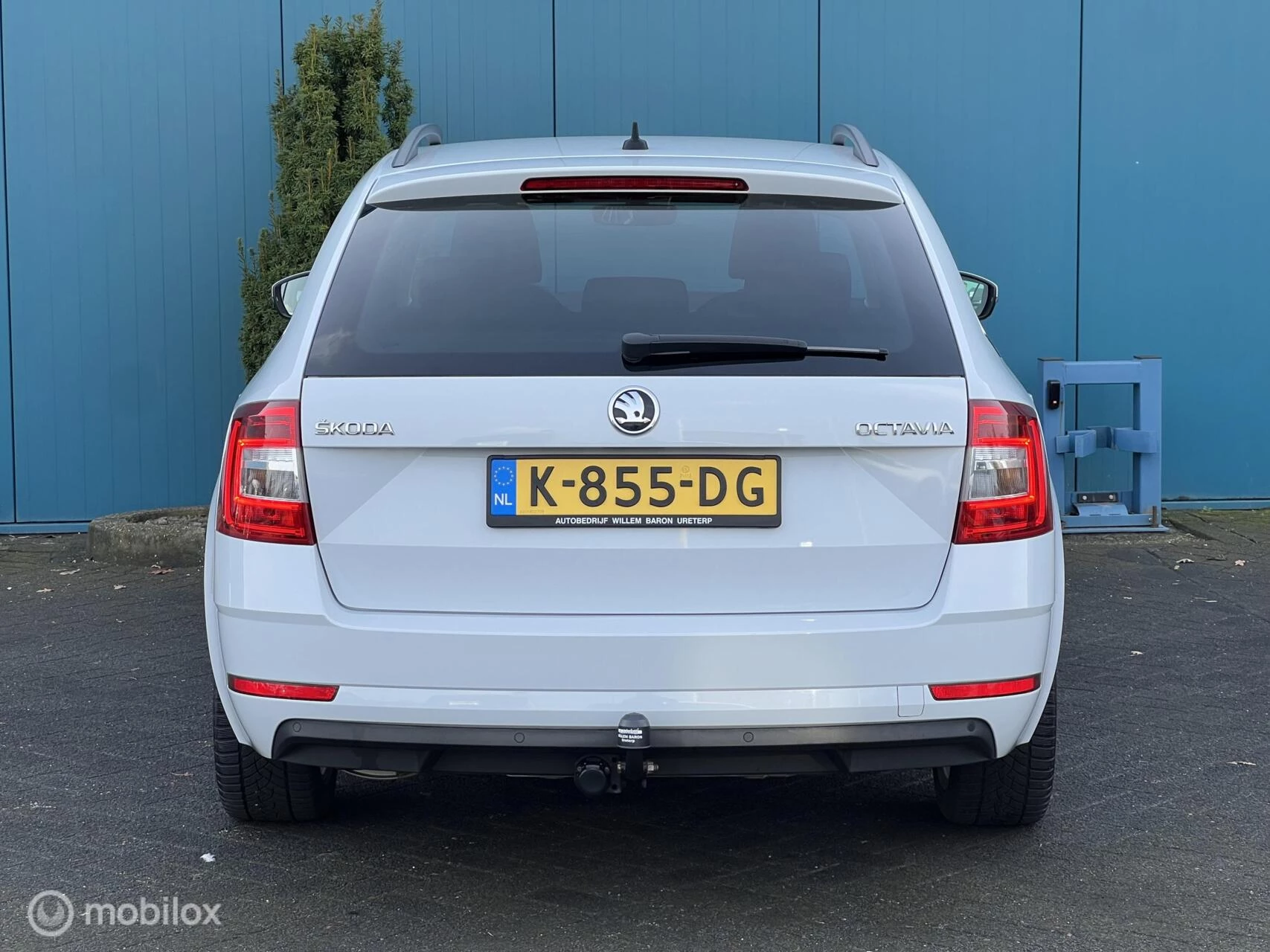 Hoofdafbeelding Škoda Octavia
