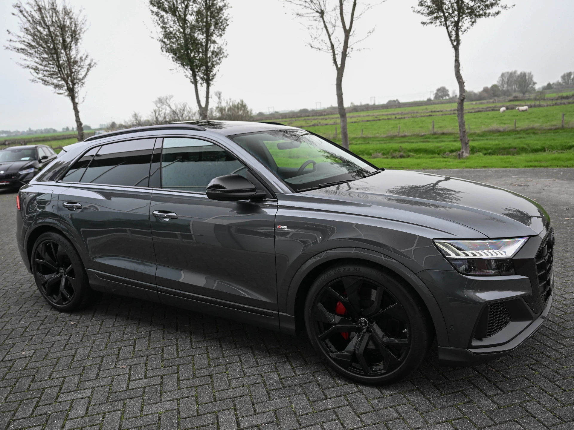 Hoofdafbeelding Audi Q8