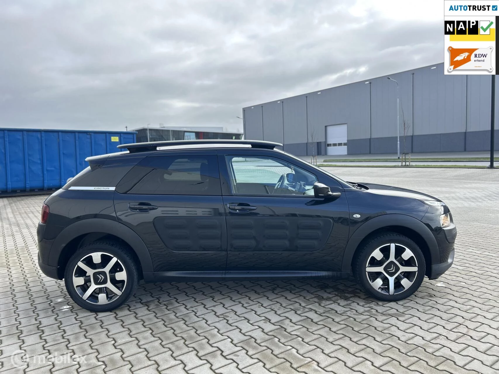 Hoofdafbeelding Citroën C4 Cactus
