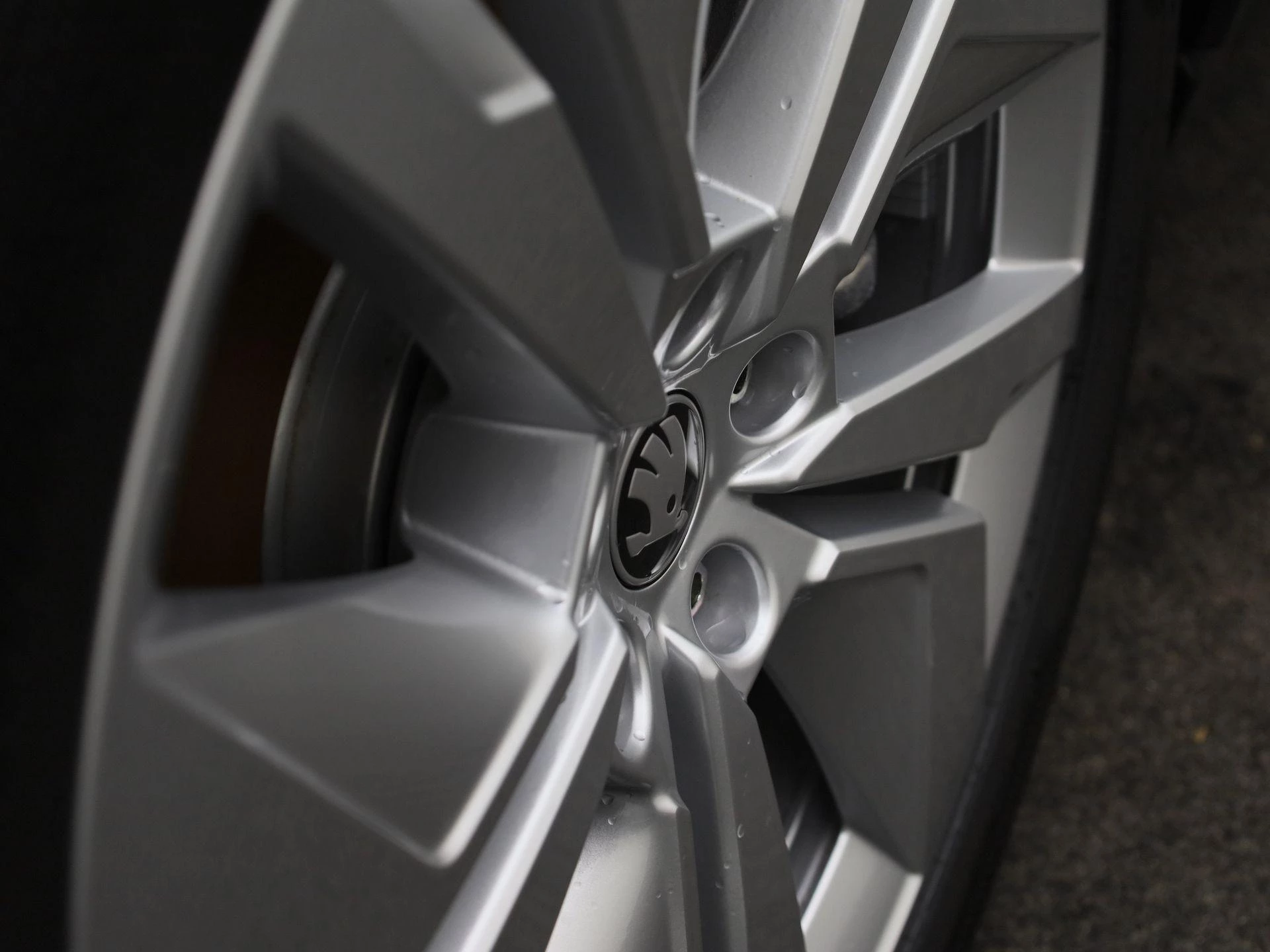 Hoofdafbeelding Škoda Elroq