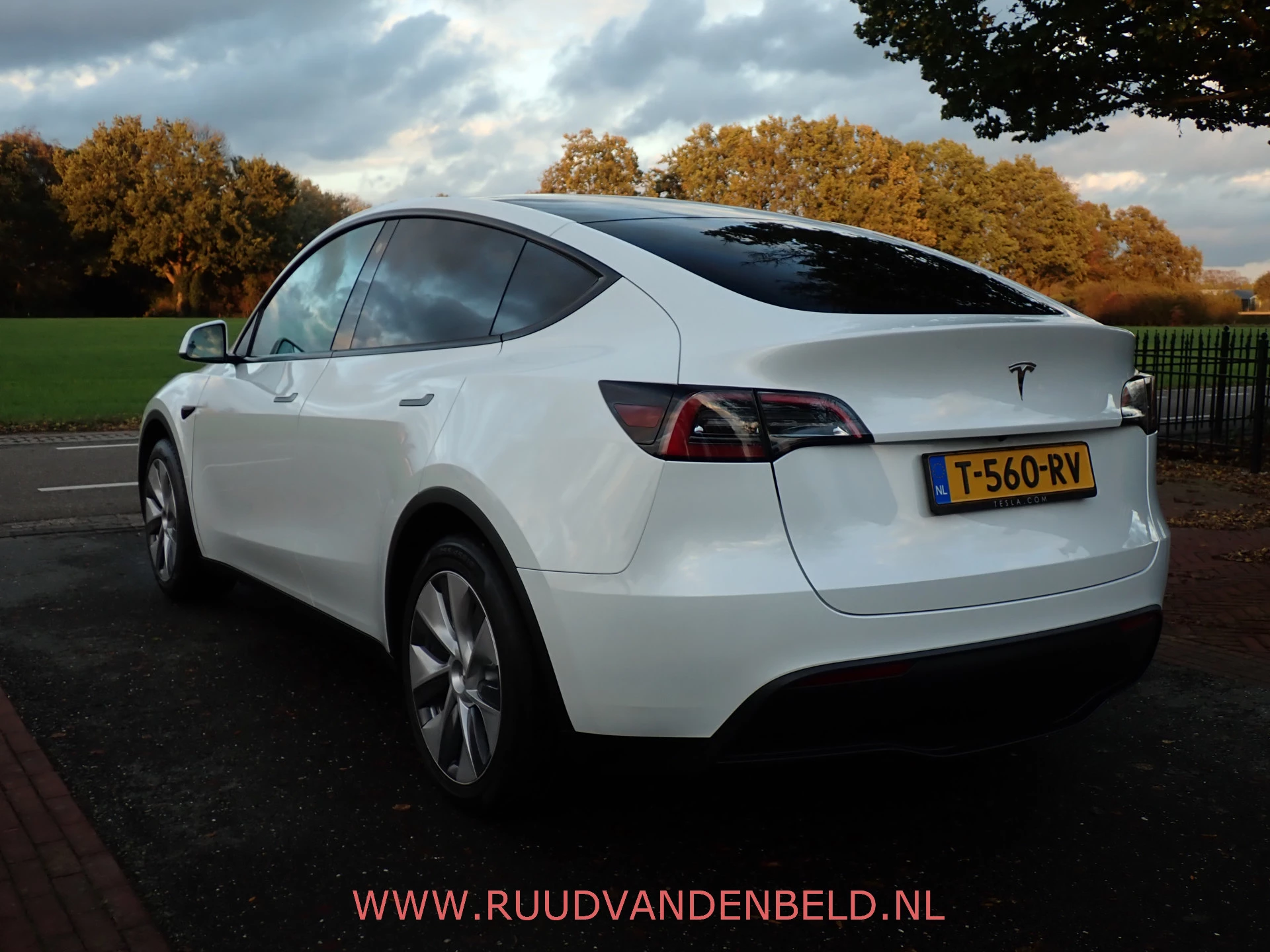 Hoofdafbeelding Tesla Model Y