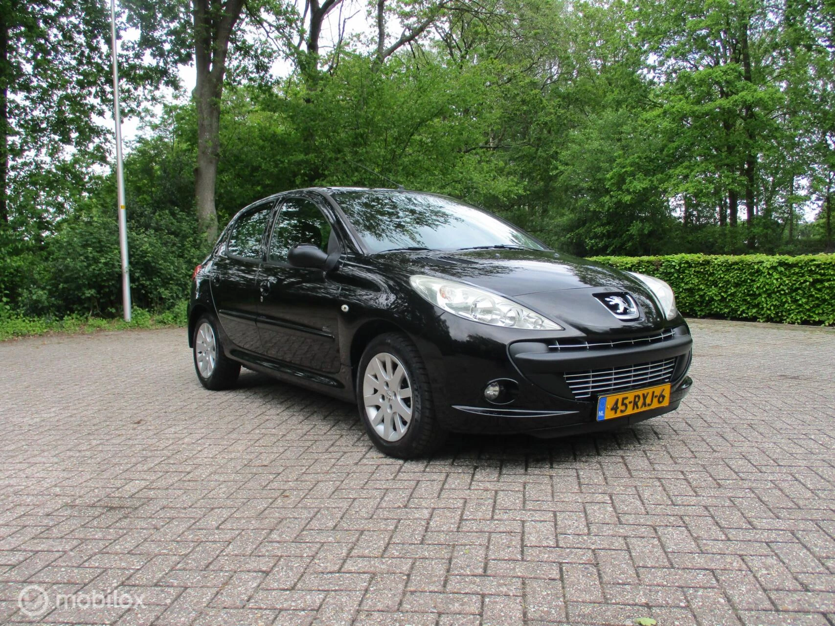 Hoofdafbeelding Peugeot 206