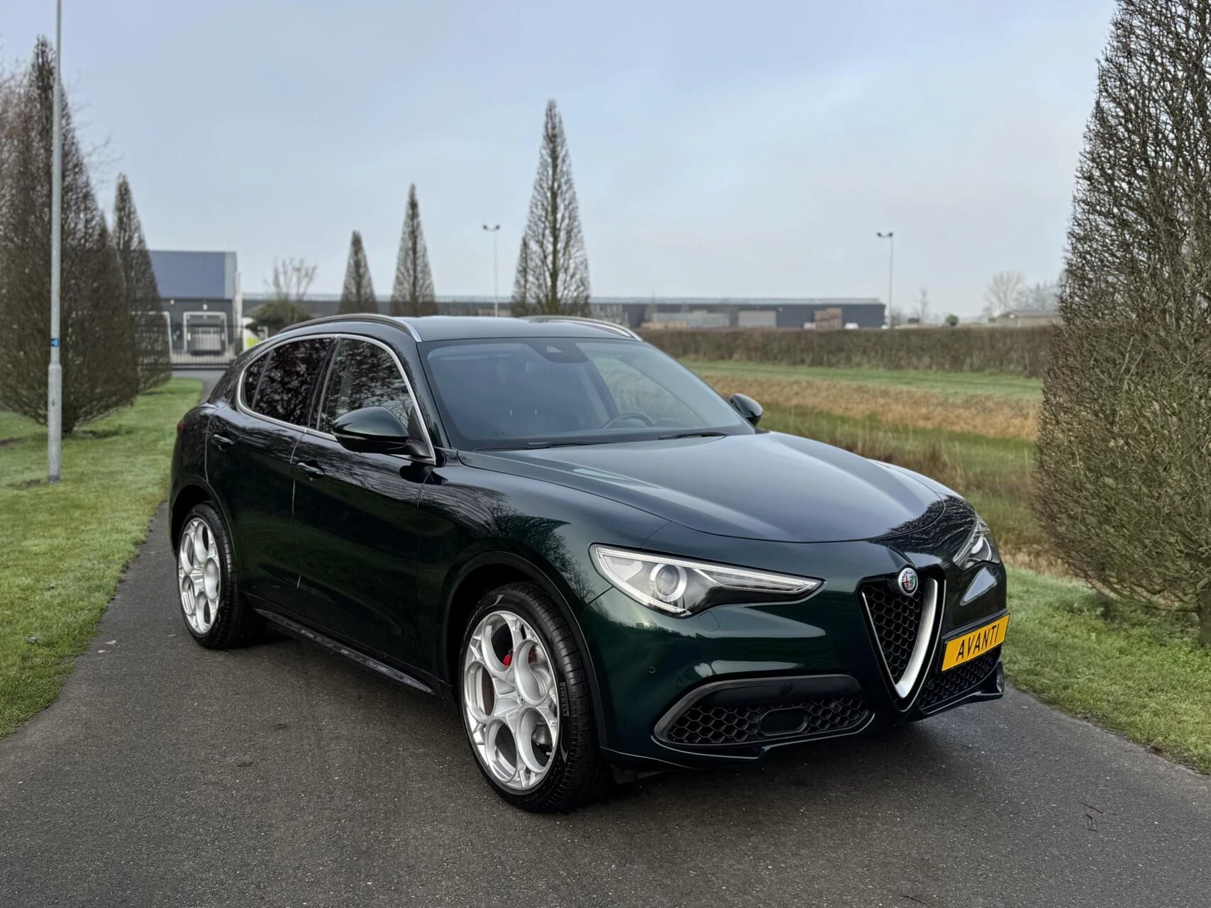 Hoofdafbeelding Alfa Romeo Stelvio