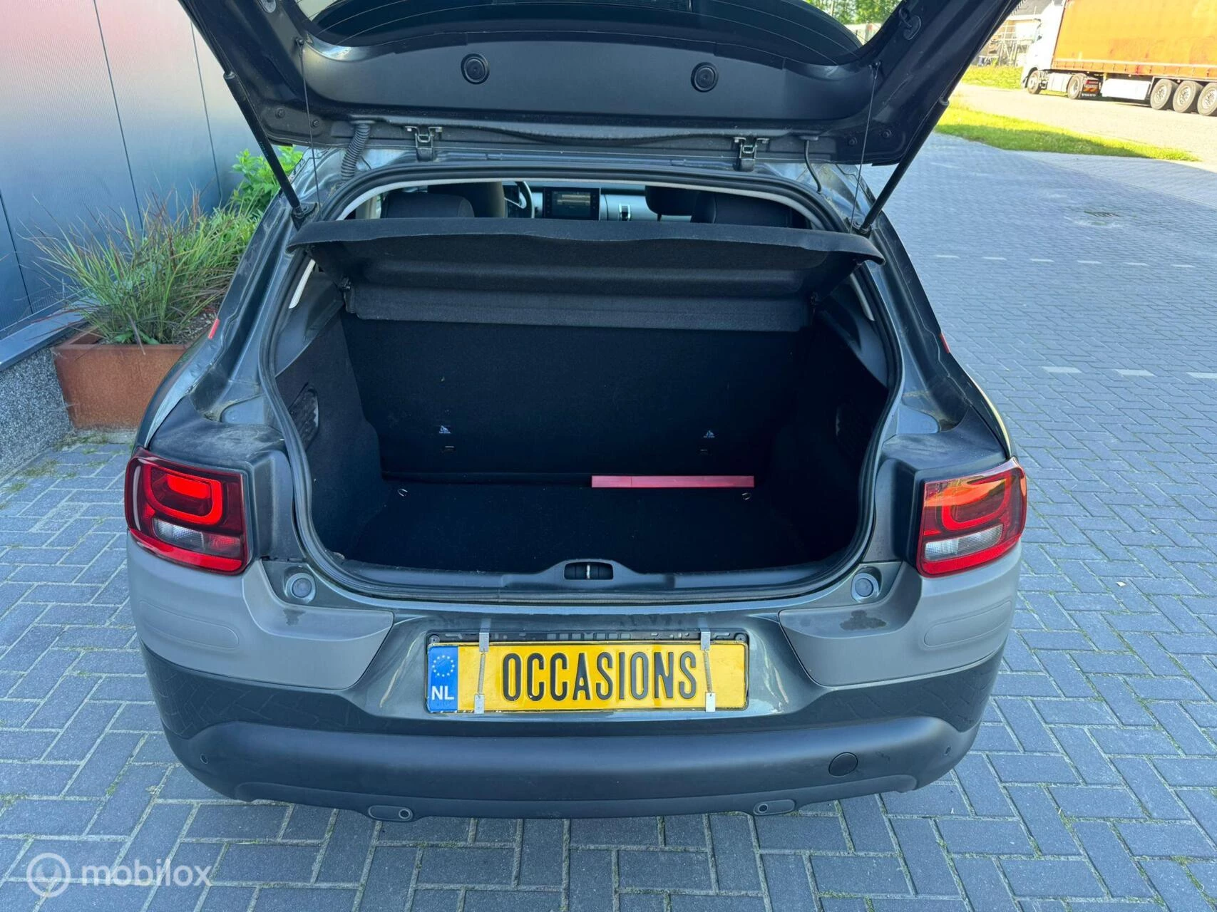 Hoofdafbeelding Citroën C4 Cactus