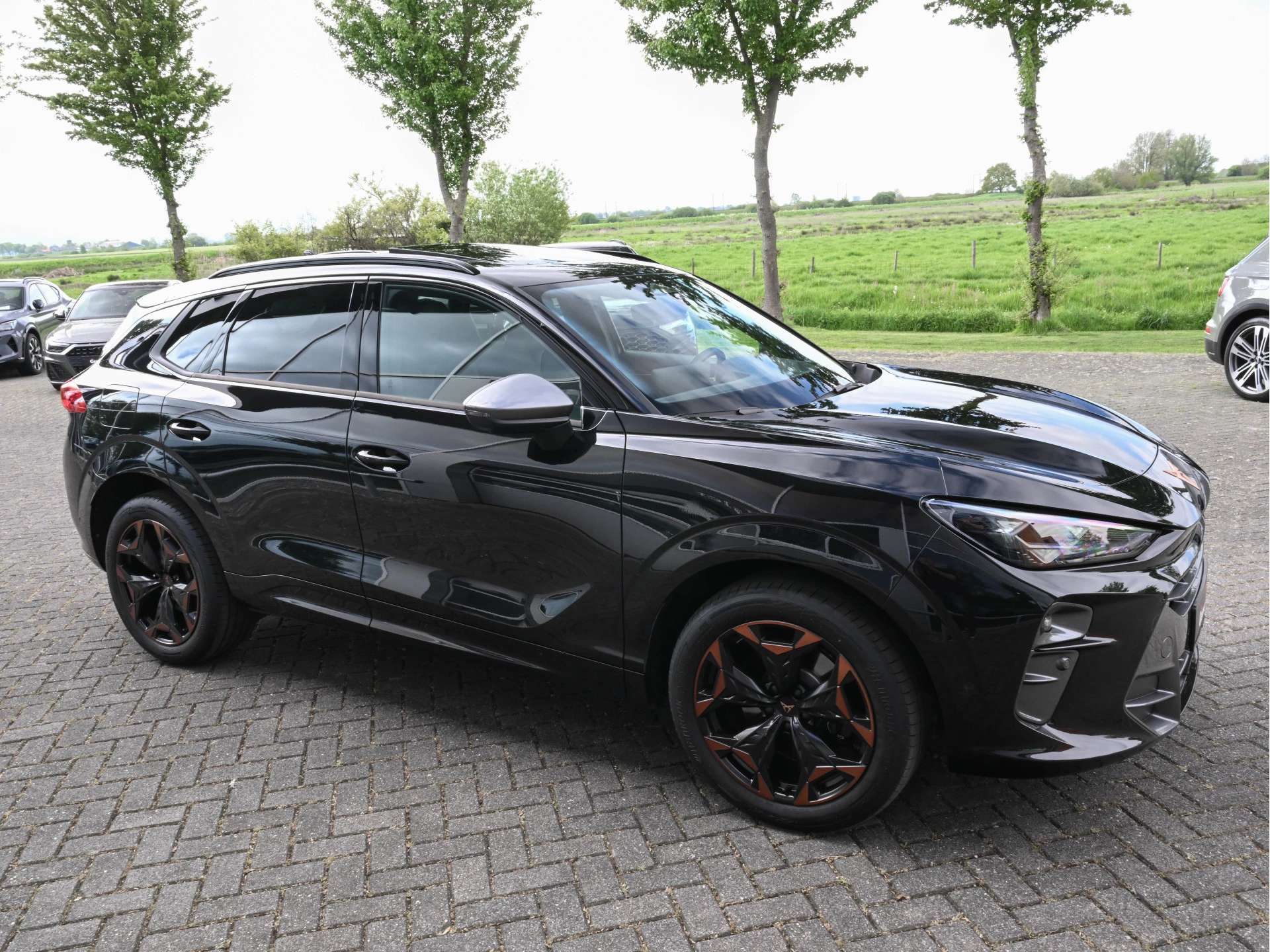 Hoofdafbeelding CUPRA Terramar