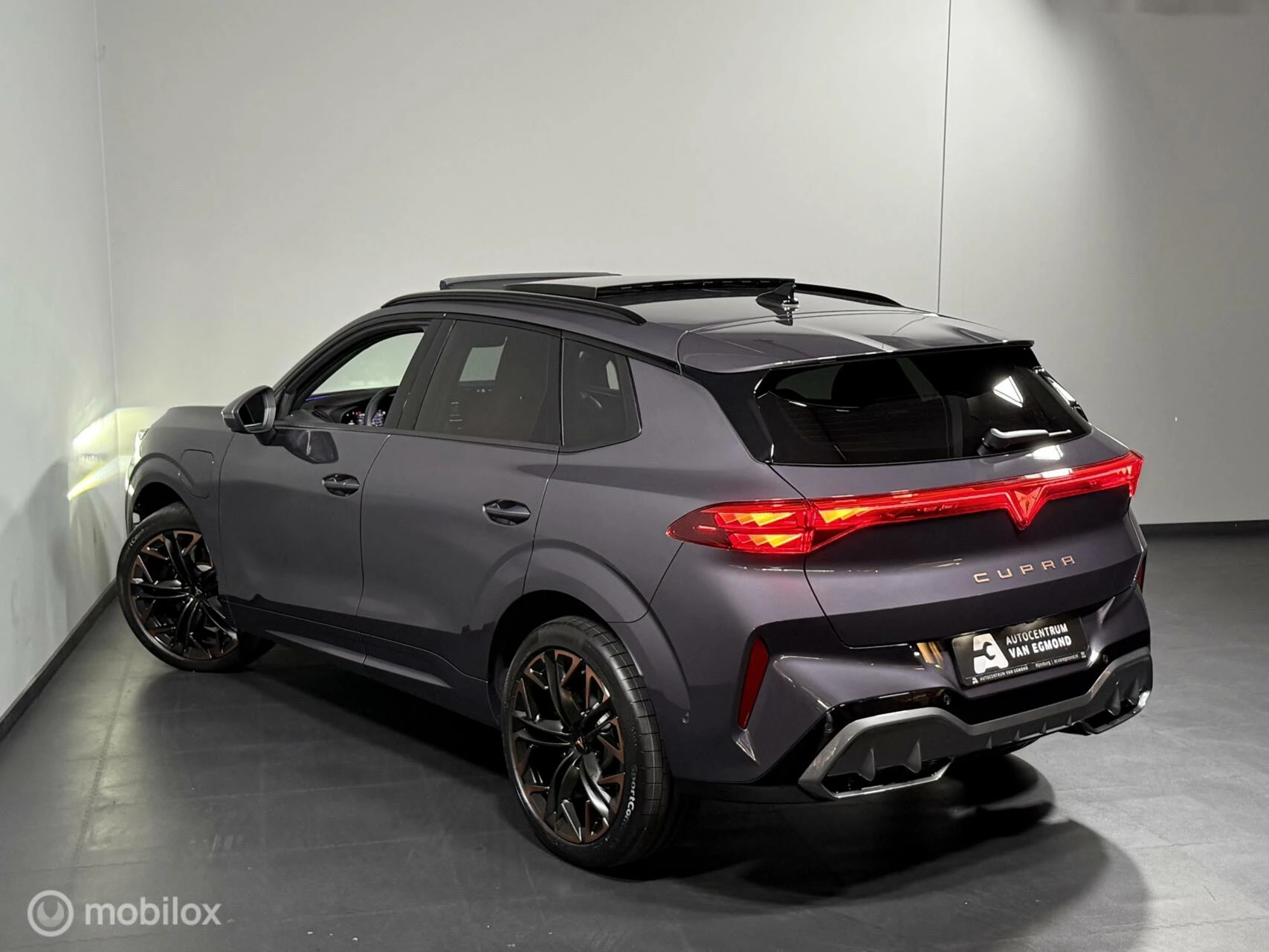 Hoofdafbeelding CUPRA Terramar