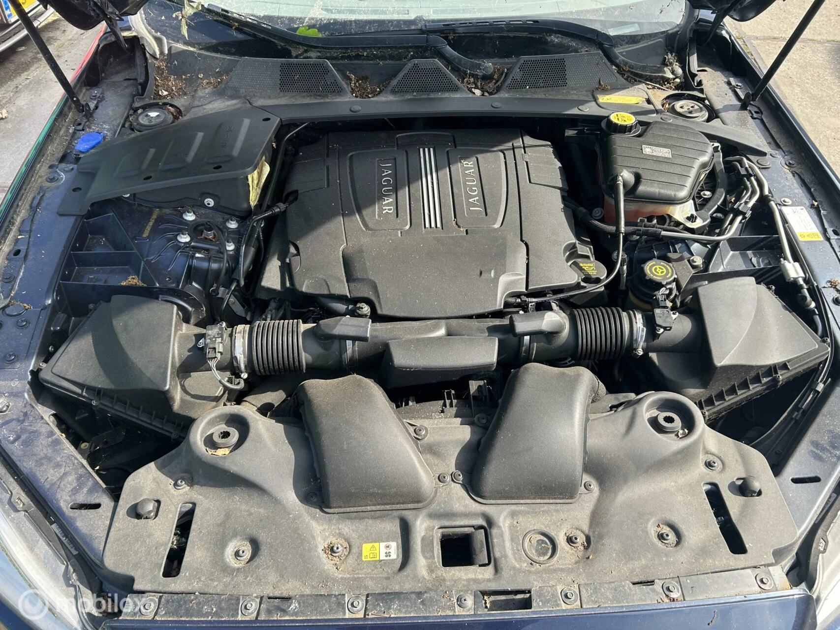 Hoofdafbeelding Jaguar XJ