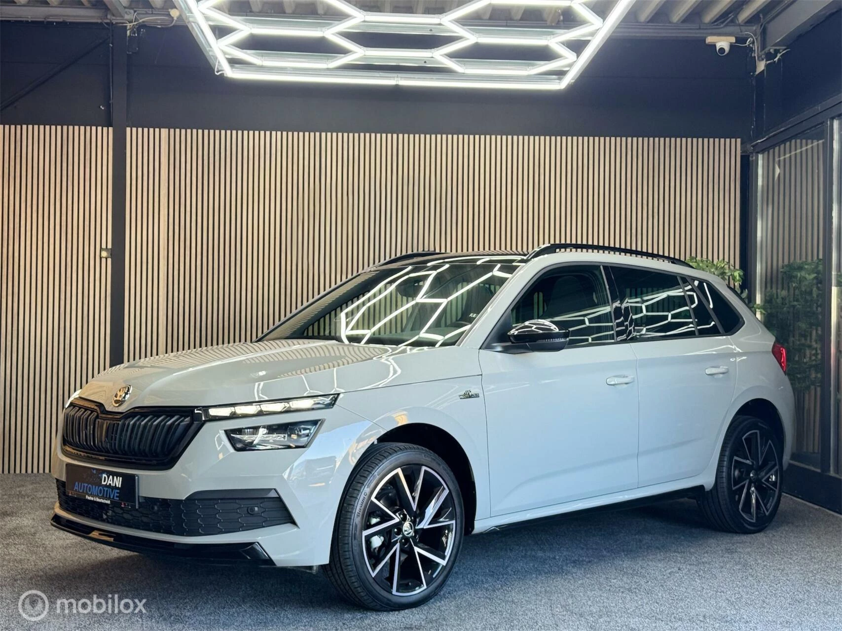 Hoofdafbeelding Škoda Kamiq