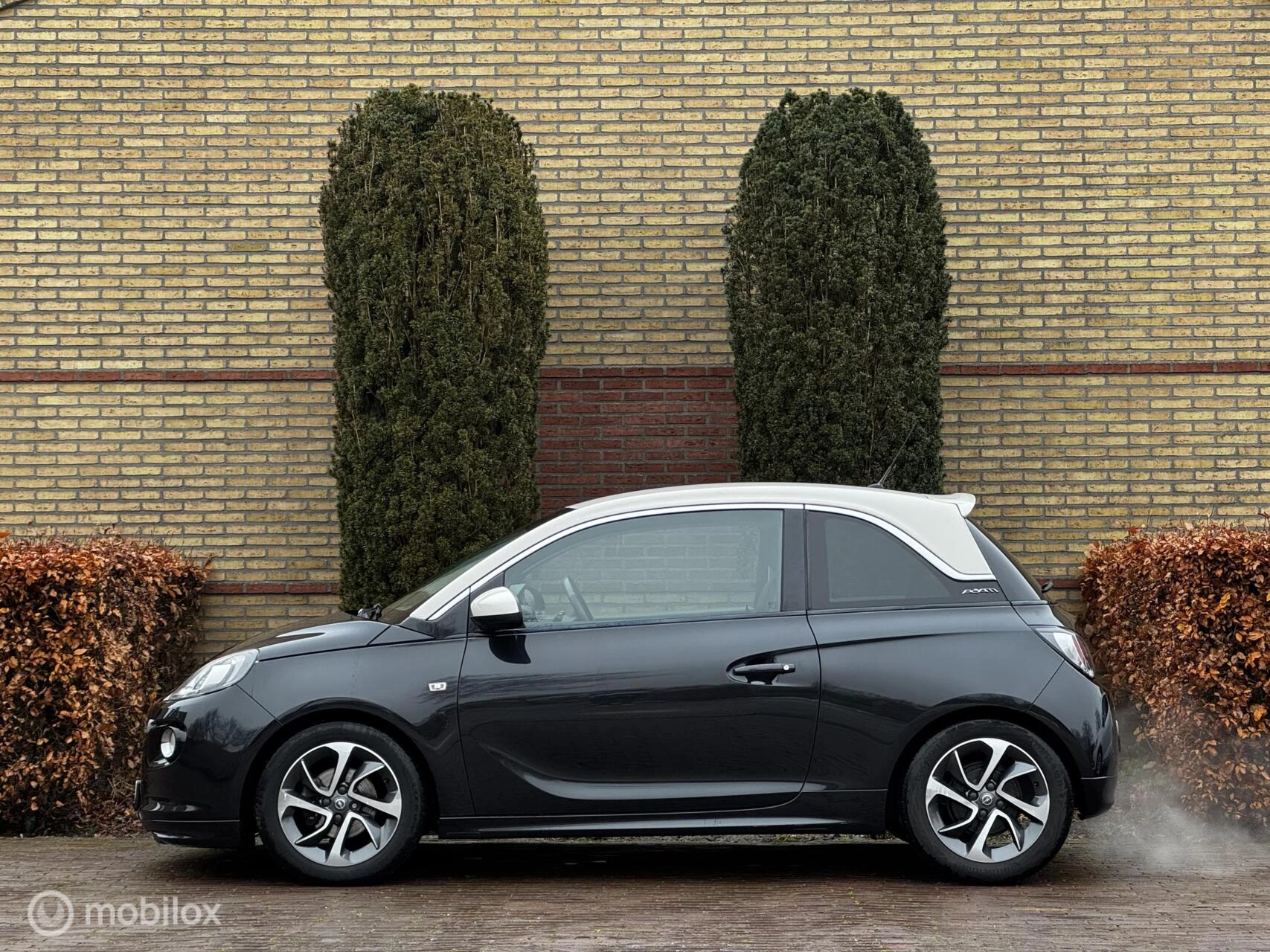 Hoofdafbeelding Opel ADAM