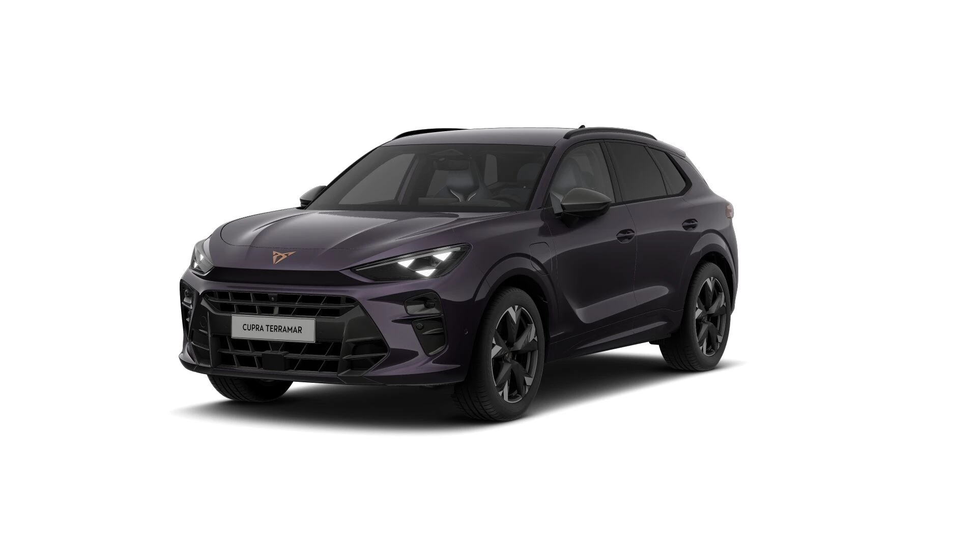 Hoofdafbeelding CUPRA Terramar