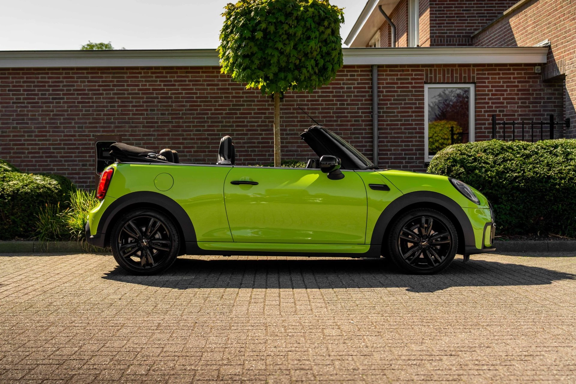 Hoofdafbeelding MINI Cooper Cabrio