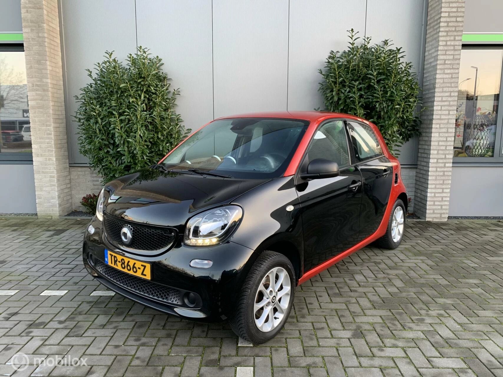 Hoofdafbeelding Smart Forfour