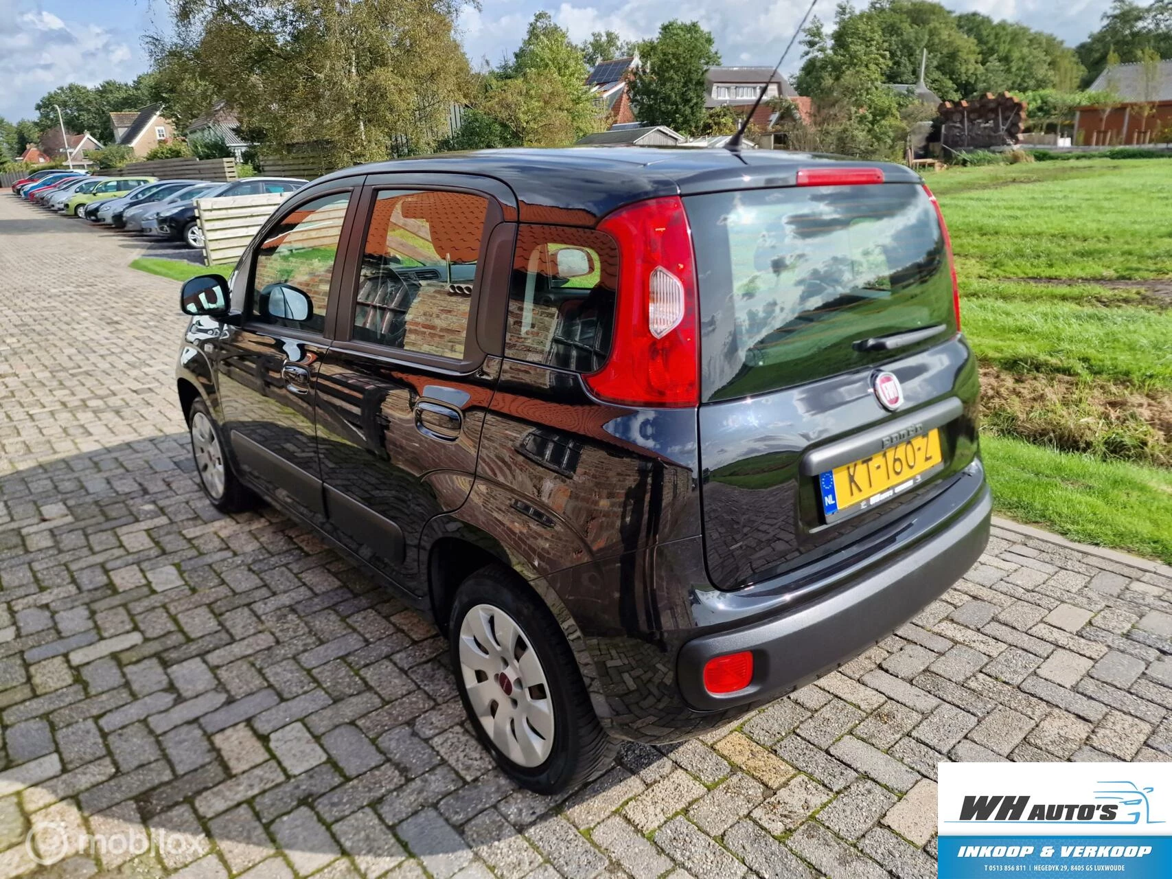 Hoofdafbeelding Fiat Panda