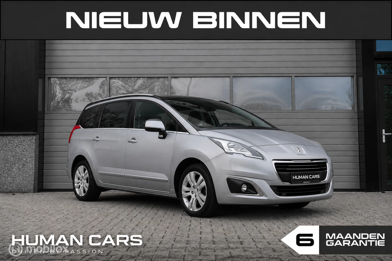 Hoofdafbeelding Peugeot 5008