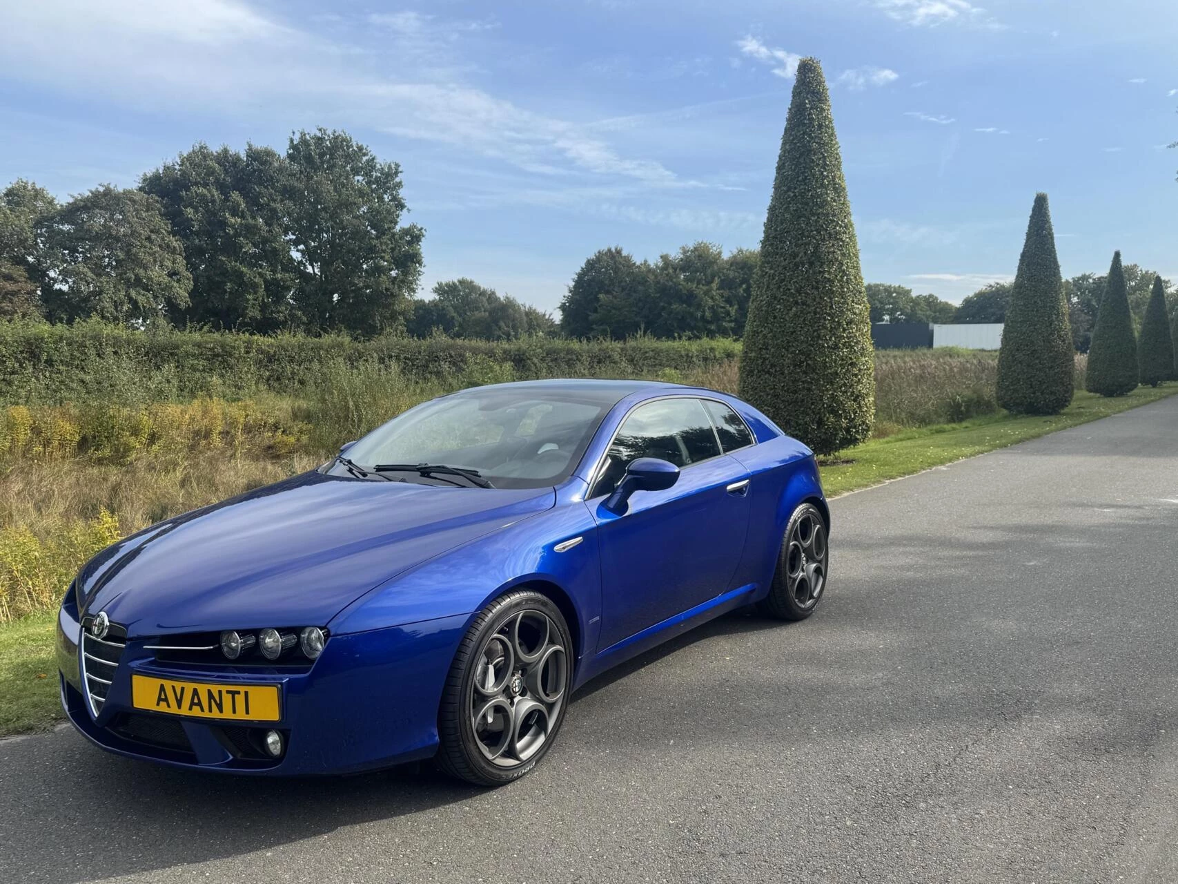 Hoofdafbeelding Alfa Romeo Brera