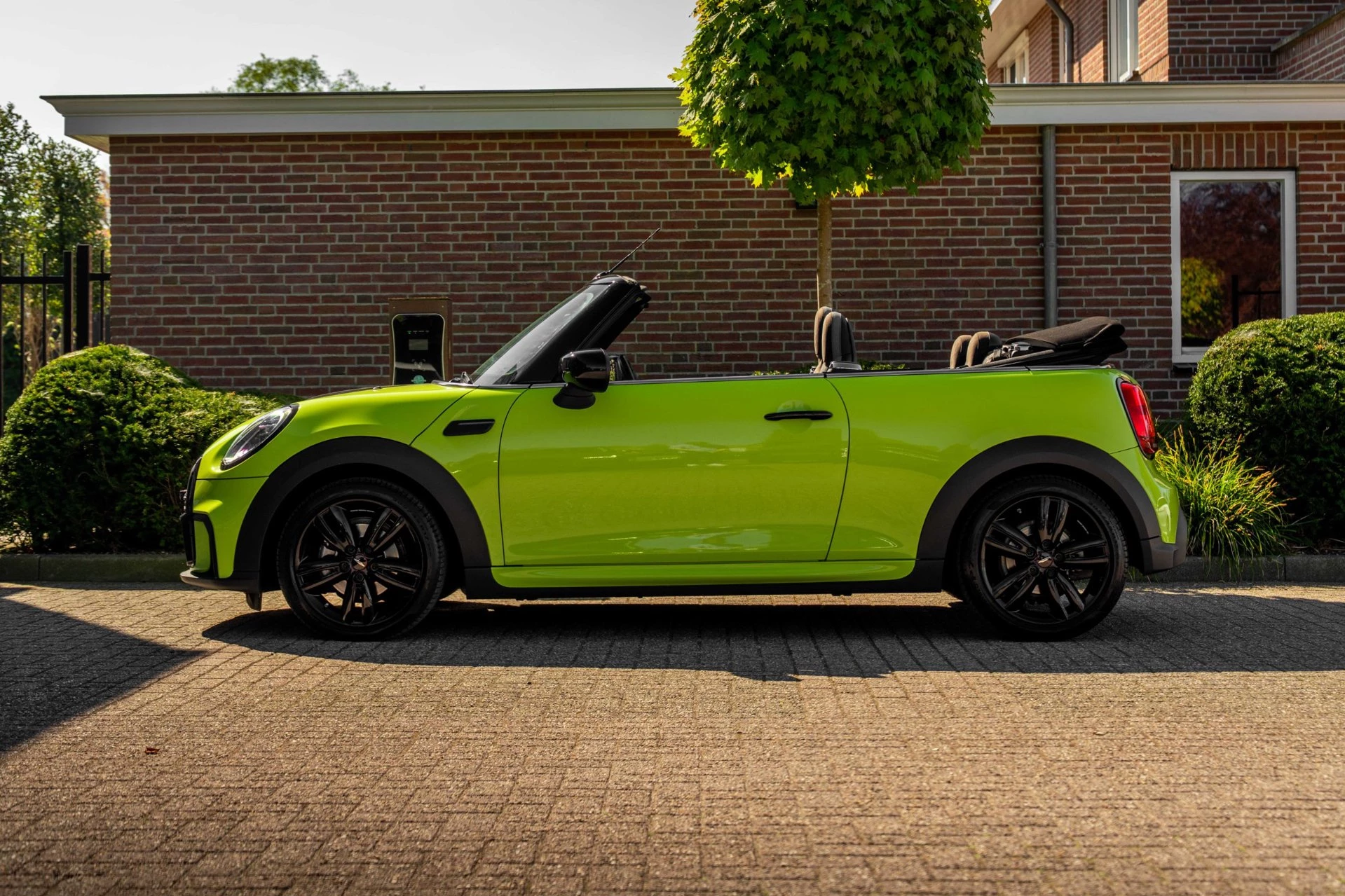 Hoofdafbeelding MINI Cooper Cabrio