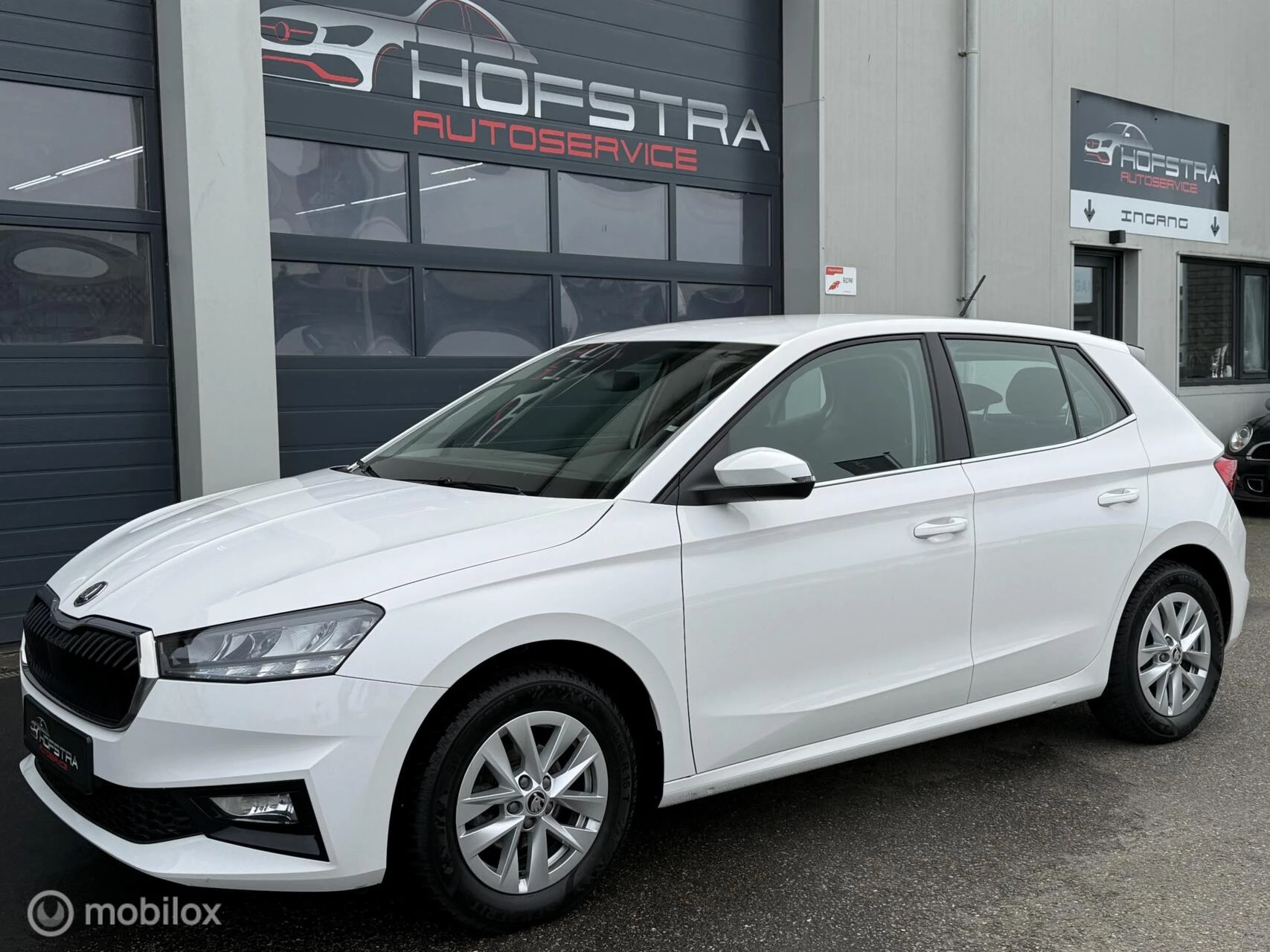 Hoofdafbeelding Škoda Fabia