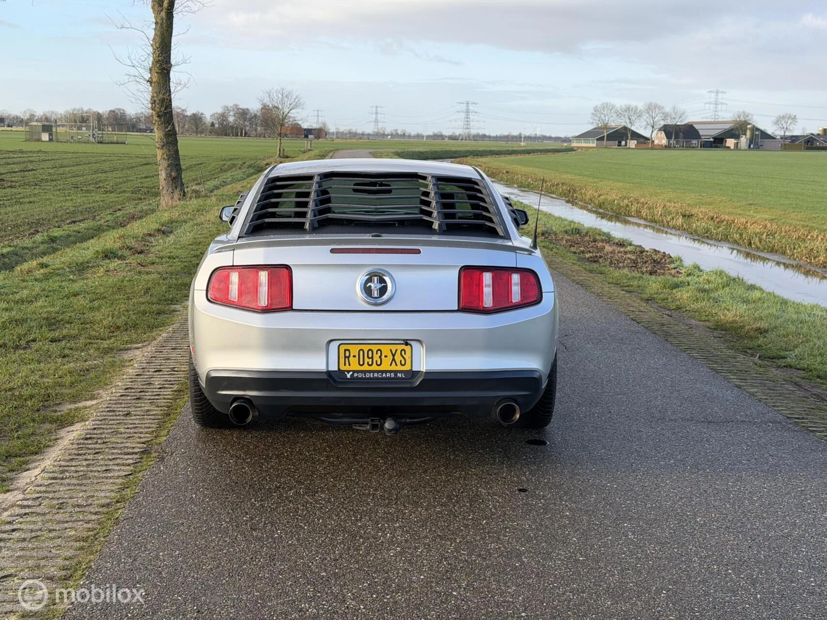 Hoofdafbeelding Ford Mustang