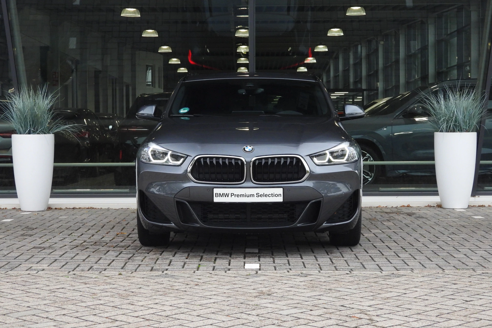 Hoofdafbeelding BMW X2