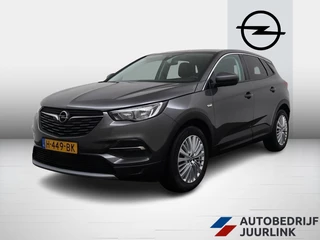 Opel Grandland X 1.2 Turbo Automaat Executive Ecc/Winterpakket/Agr