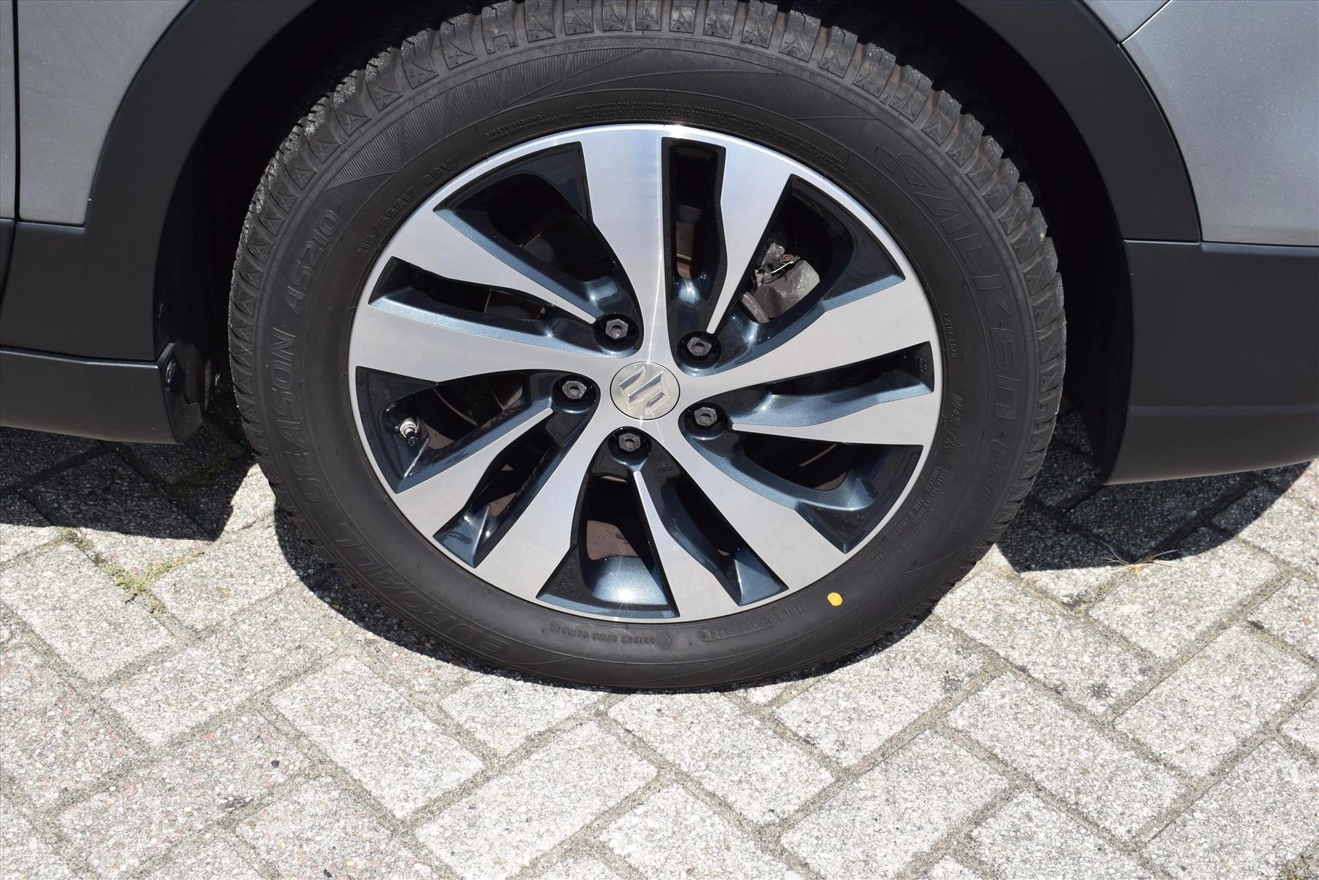 Hoofdafbeelding Suzuki S-Cross