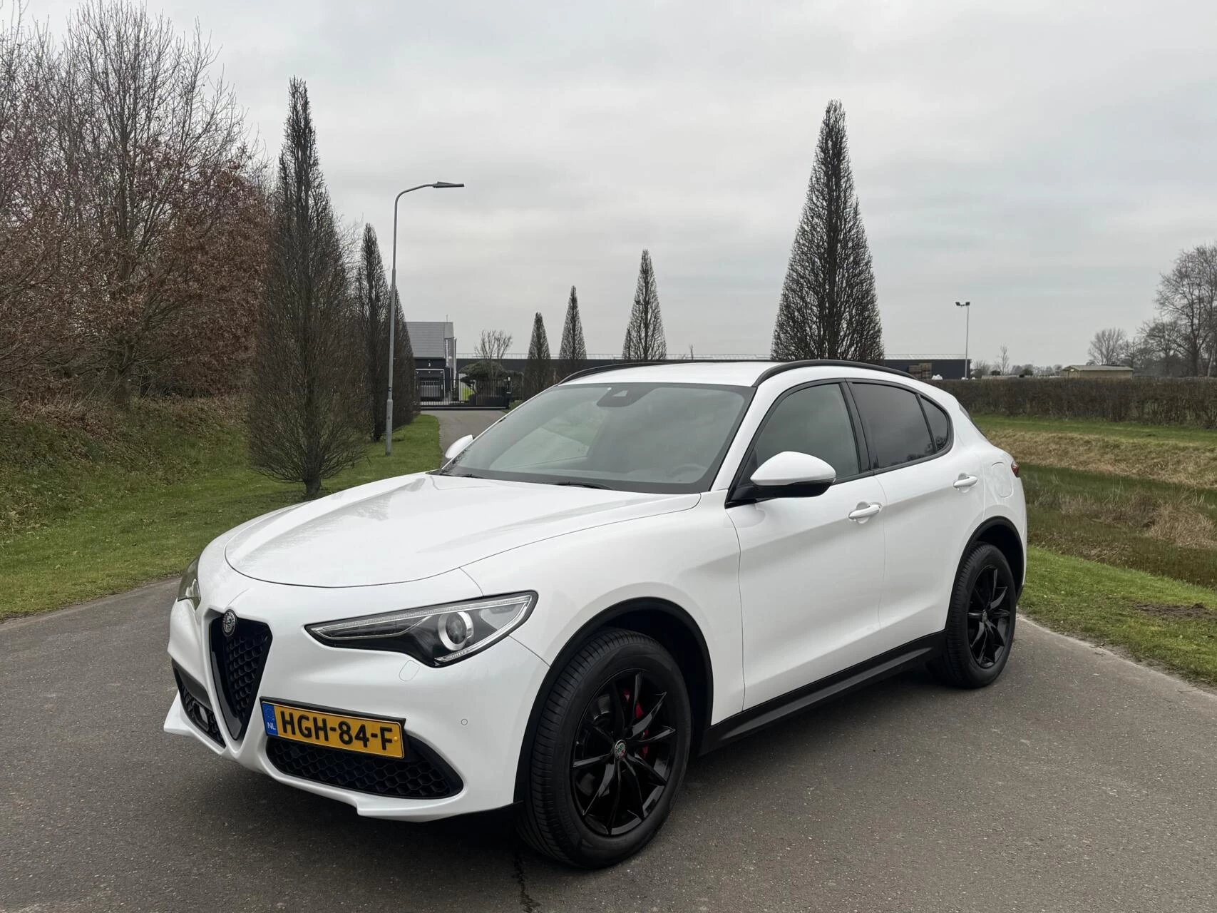 Hoofdafbeelding Alfa Romeo Stelvio