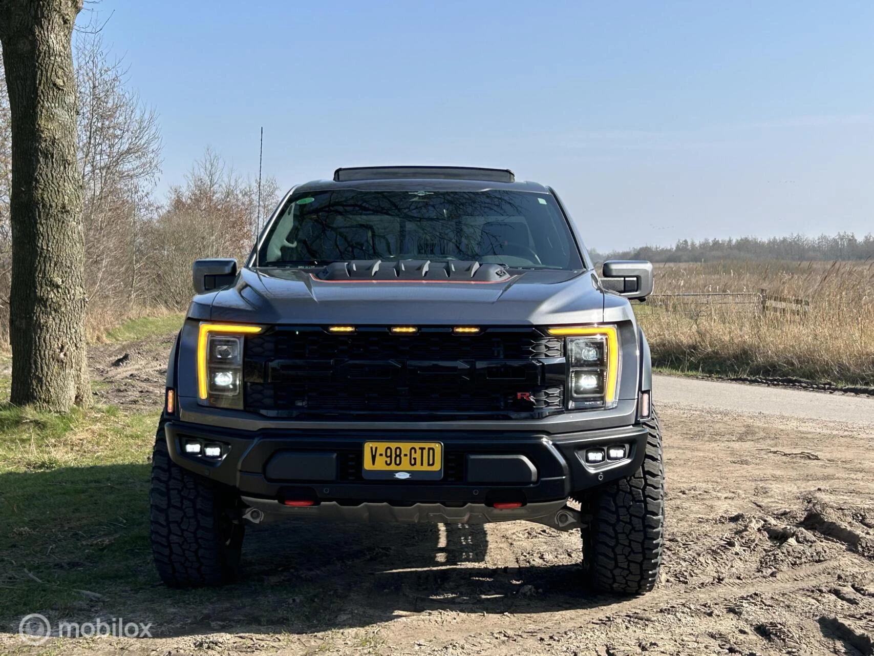 Hoofdafbeelding Ford F-150