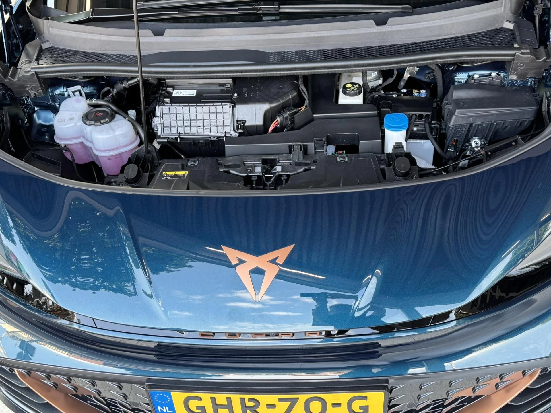 Hoofdafbeelding CUPRA Born