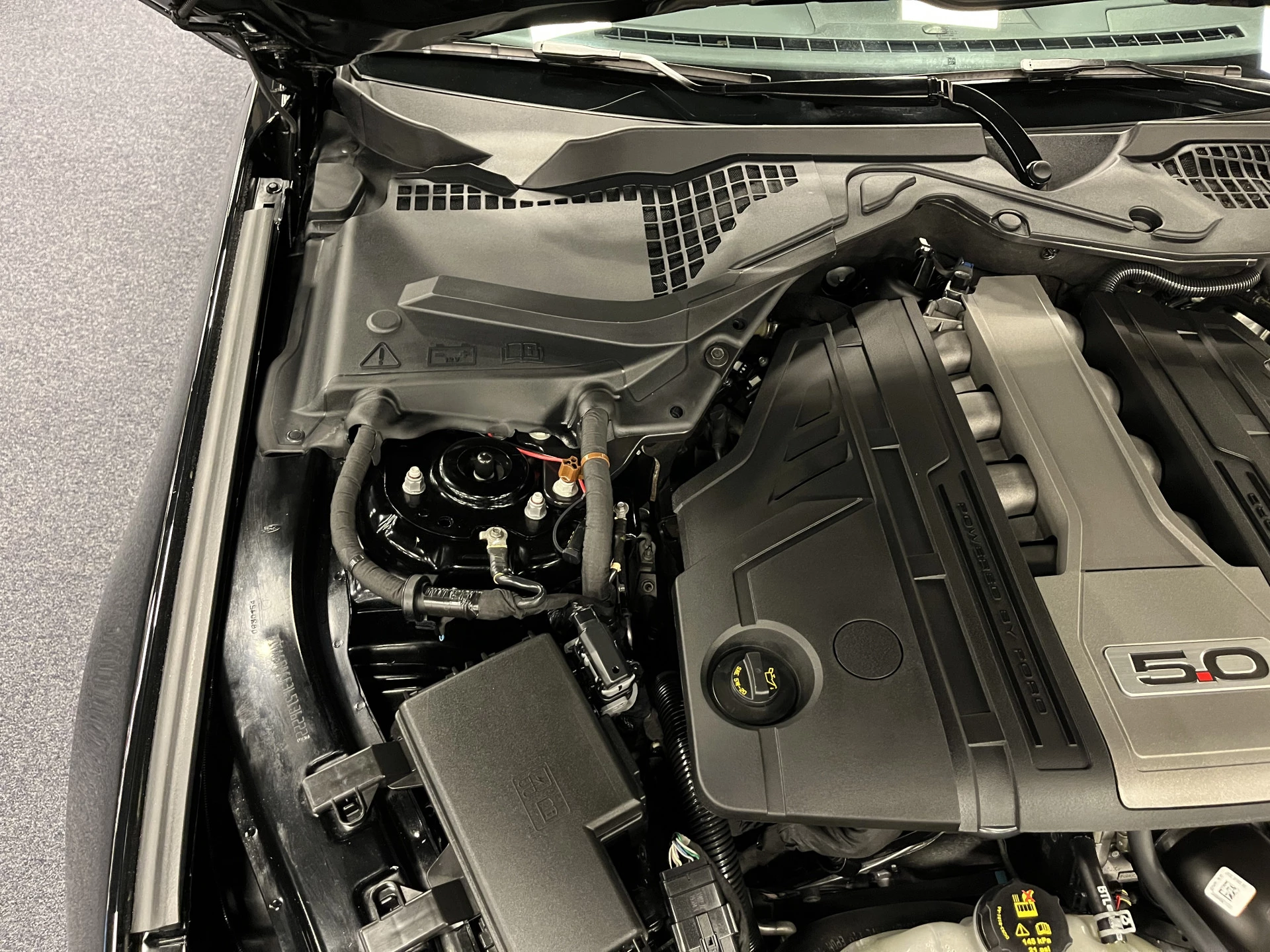 Hoofdafbeelding Ford Mustang