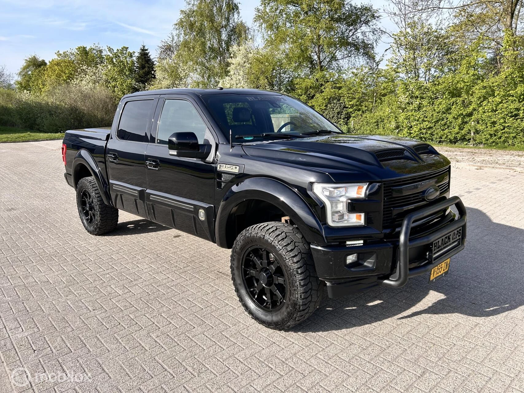 Hoofdafbeelding Ford F-150