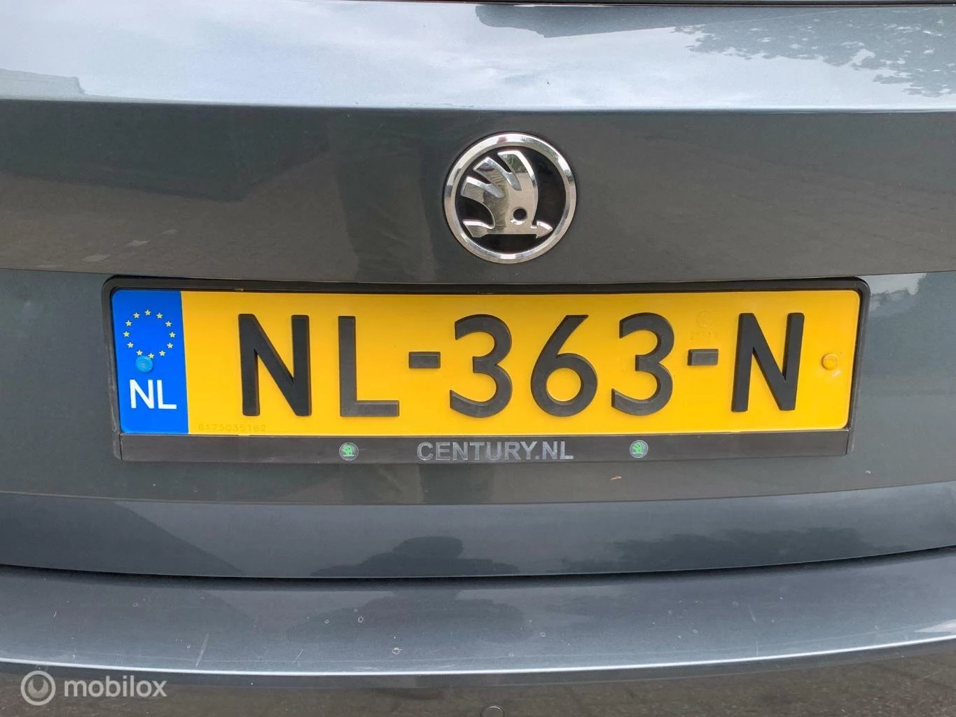Hoofdafbeelding Škoda Fabia
